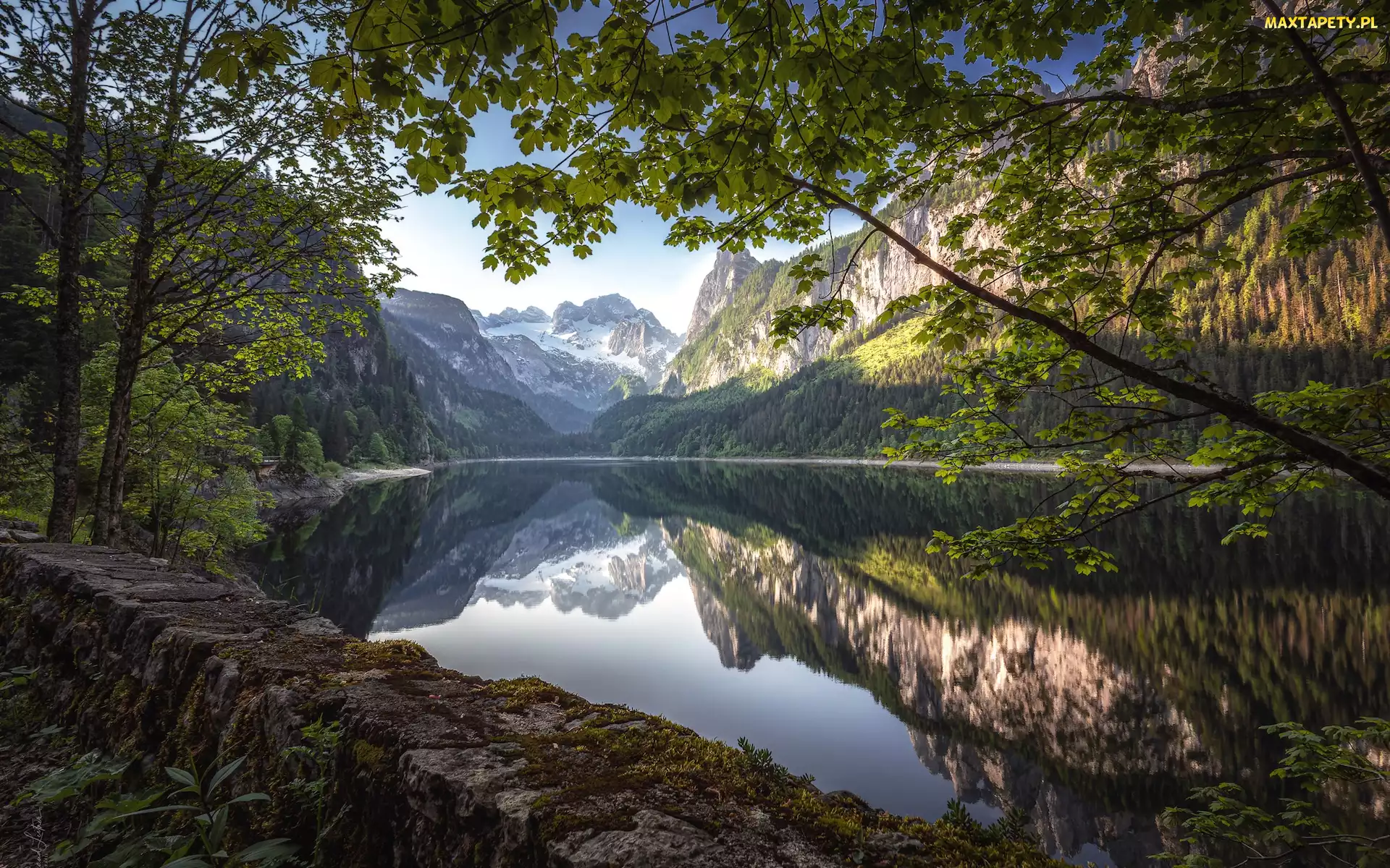 Drzewa, Gosausee, Góry, Austria, Dachstein, Jezioro