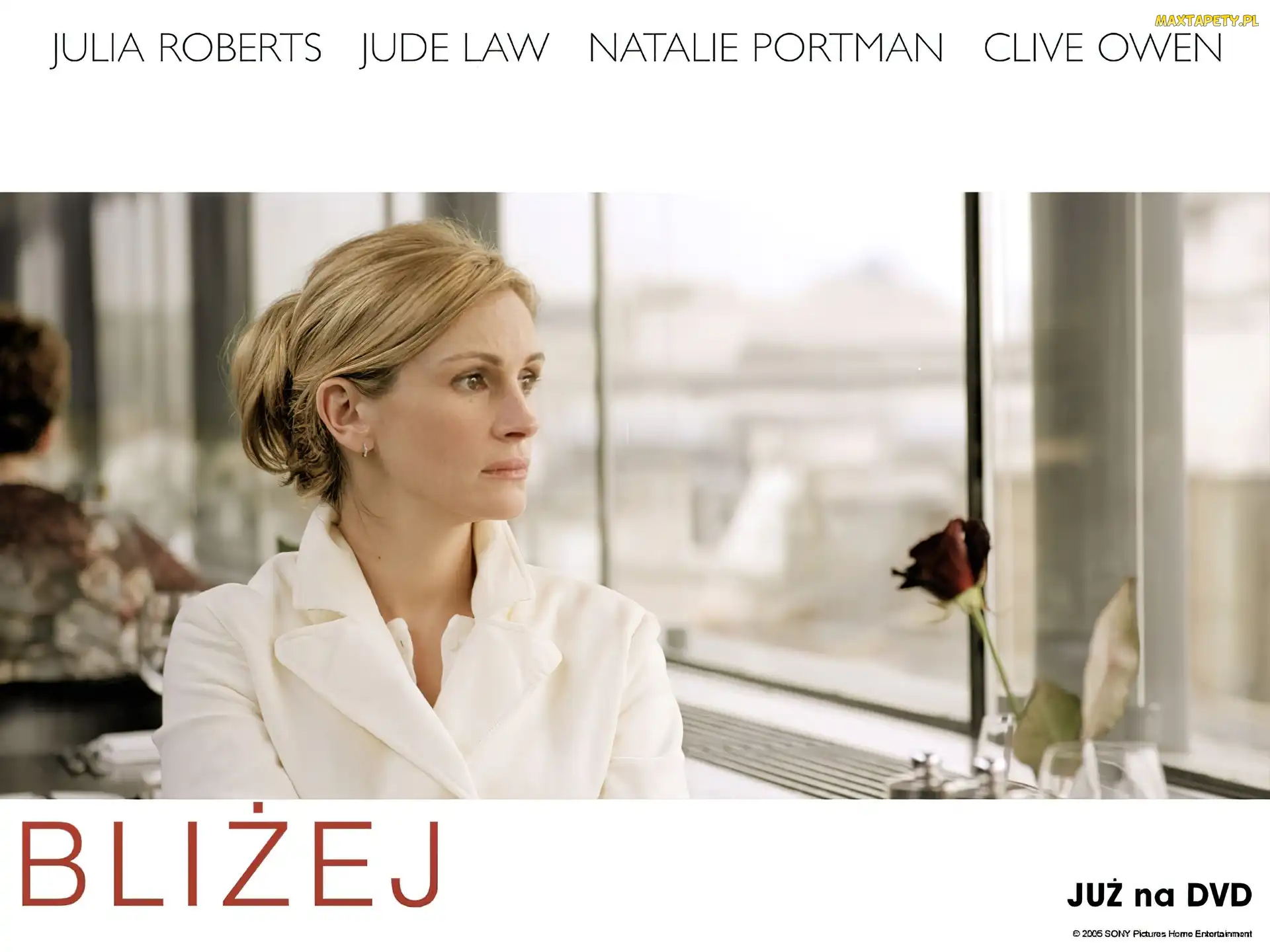 okno, róża, Closer, Julia Roberts
