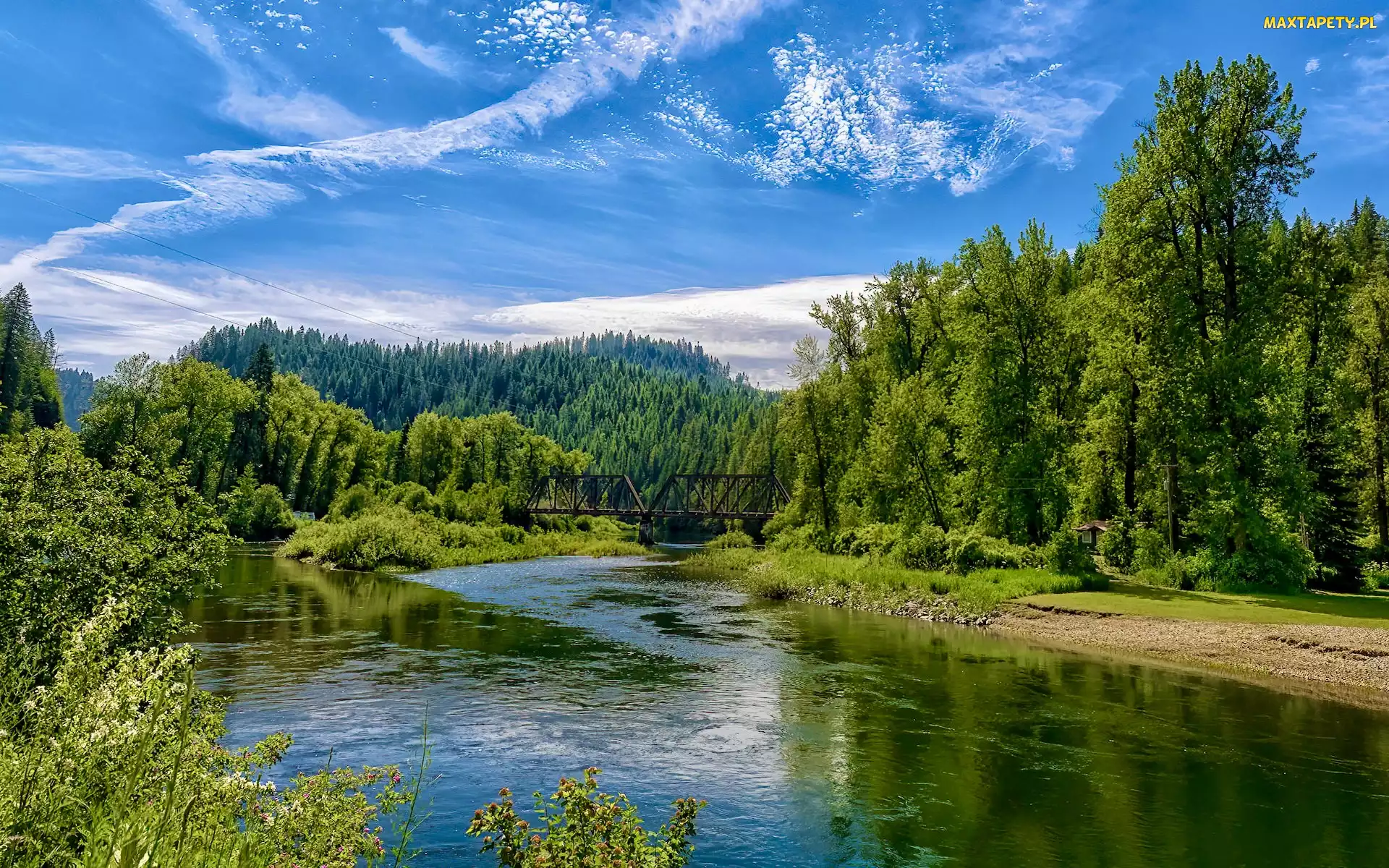 Railroad Bridge, Most, Idaho, Drzewa, St Joe River, Stany Zjednoczone, Rzeka