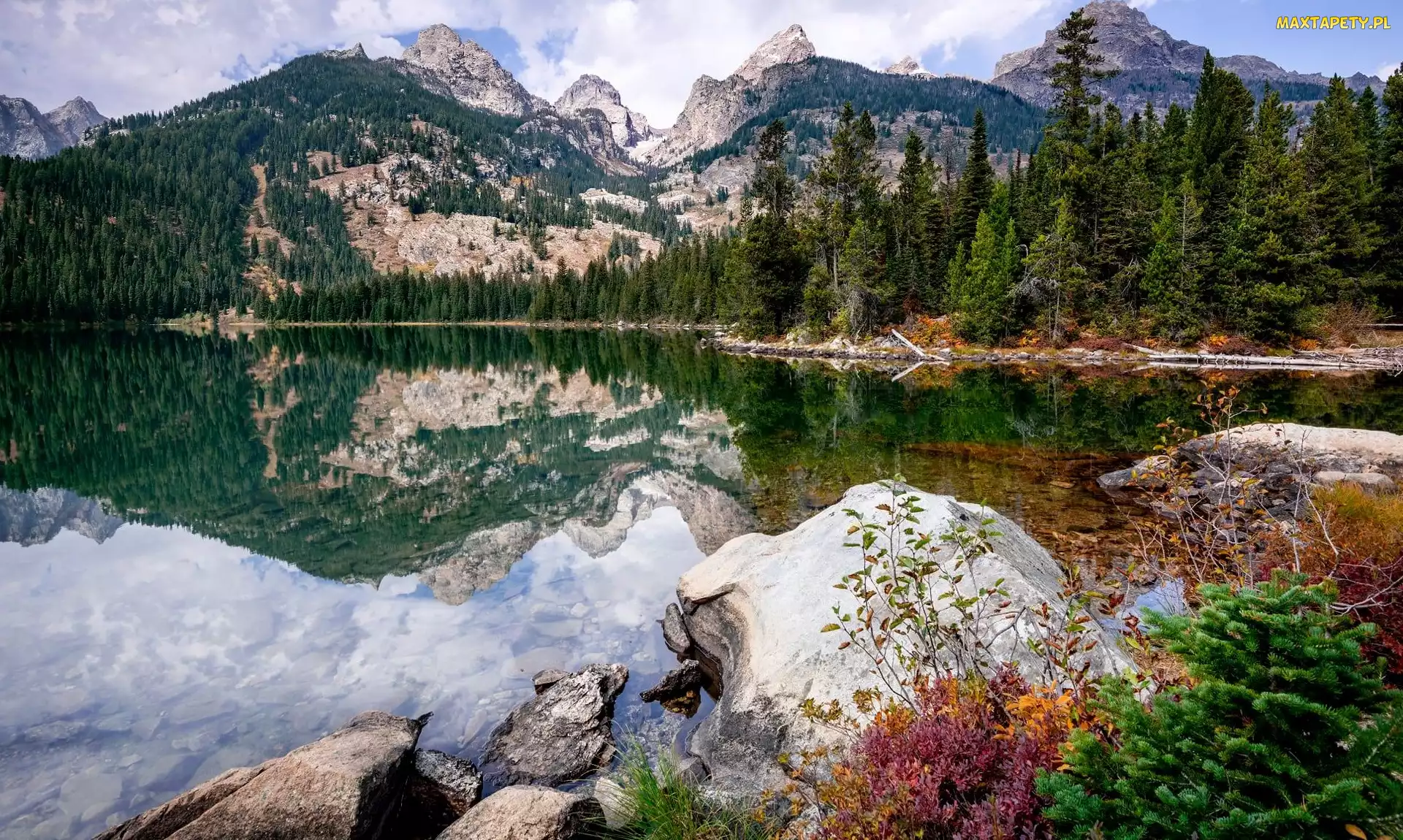Kamienie, Las, Park Narodowy Grand Teton, Jezioro, Drzewa, Odbicie, Wyoming, Chmury, Bradley Lake, Stany Zjednoczone, Góry