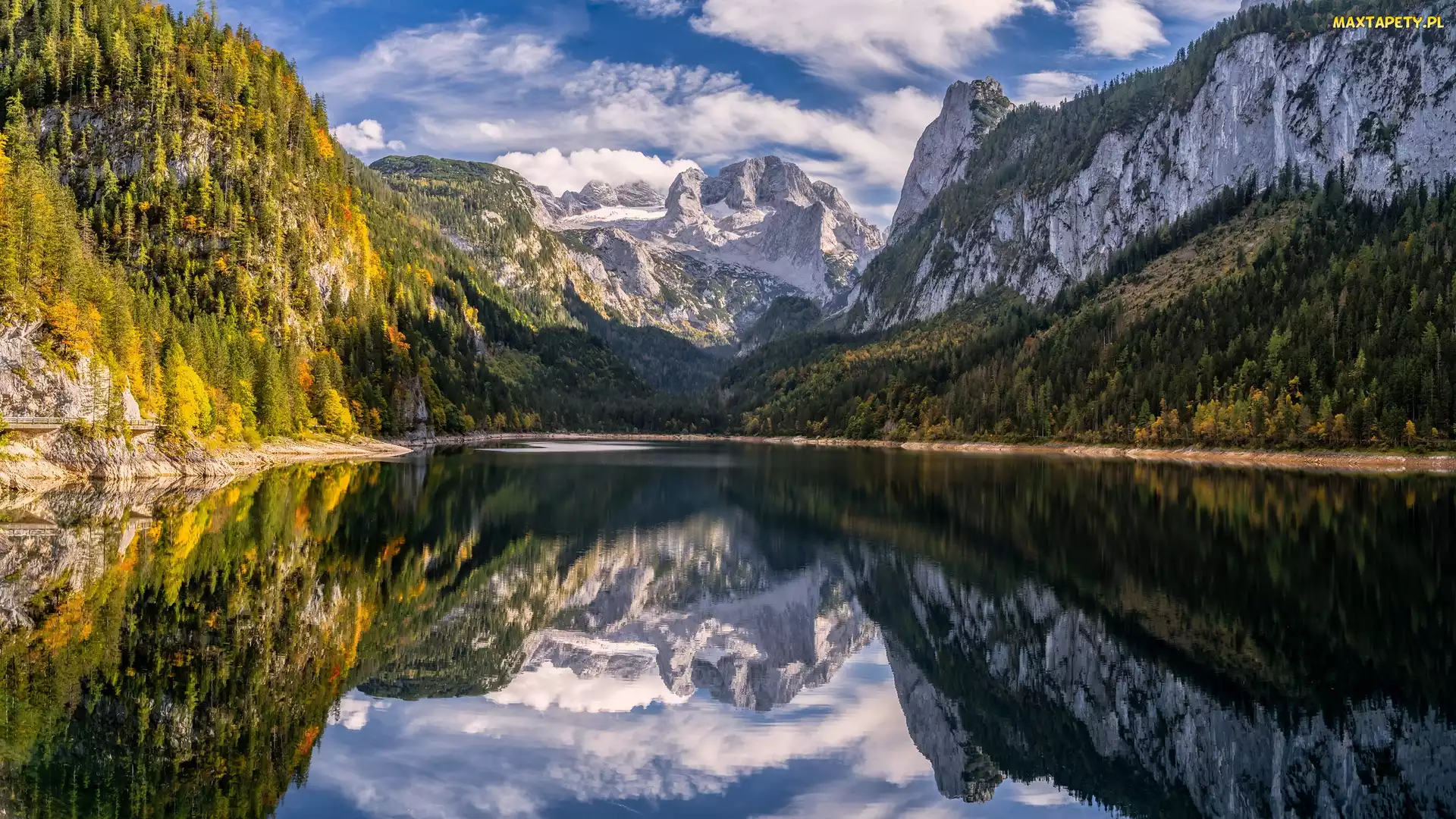 Lasy, Jezioro Gosausee, Salzkammergut, Odbicie, Alpy, Austria, Góry