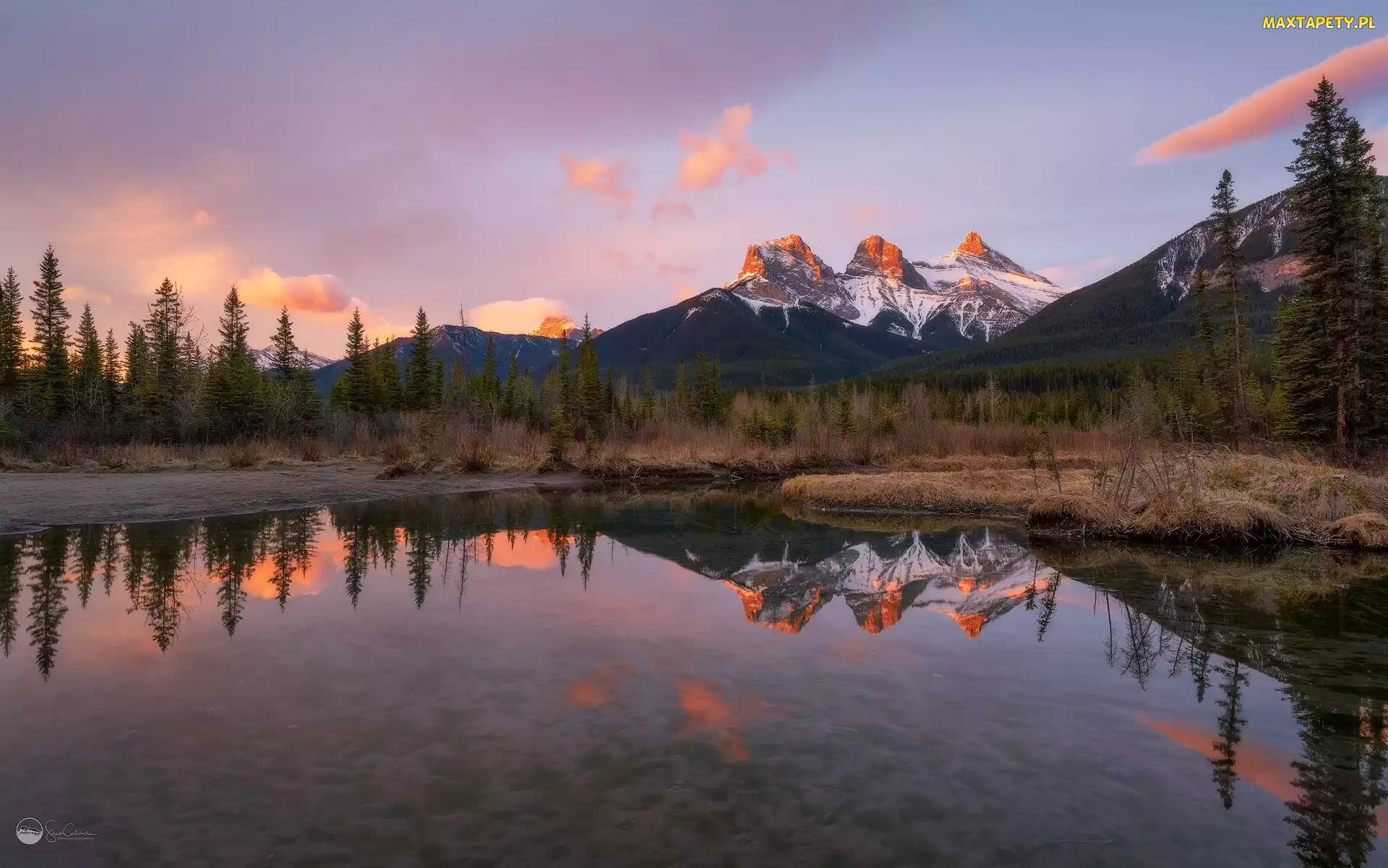 Drzewa, Rzeka, Three Sisters, Bow River, Canmore, Alberta, Góry, Canadian Rockies, Kanada, Góra