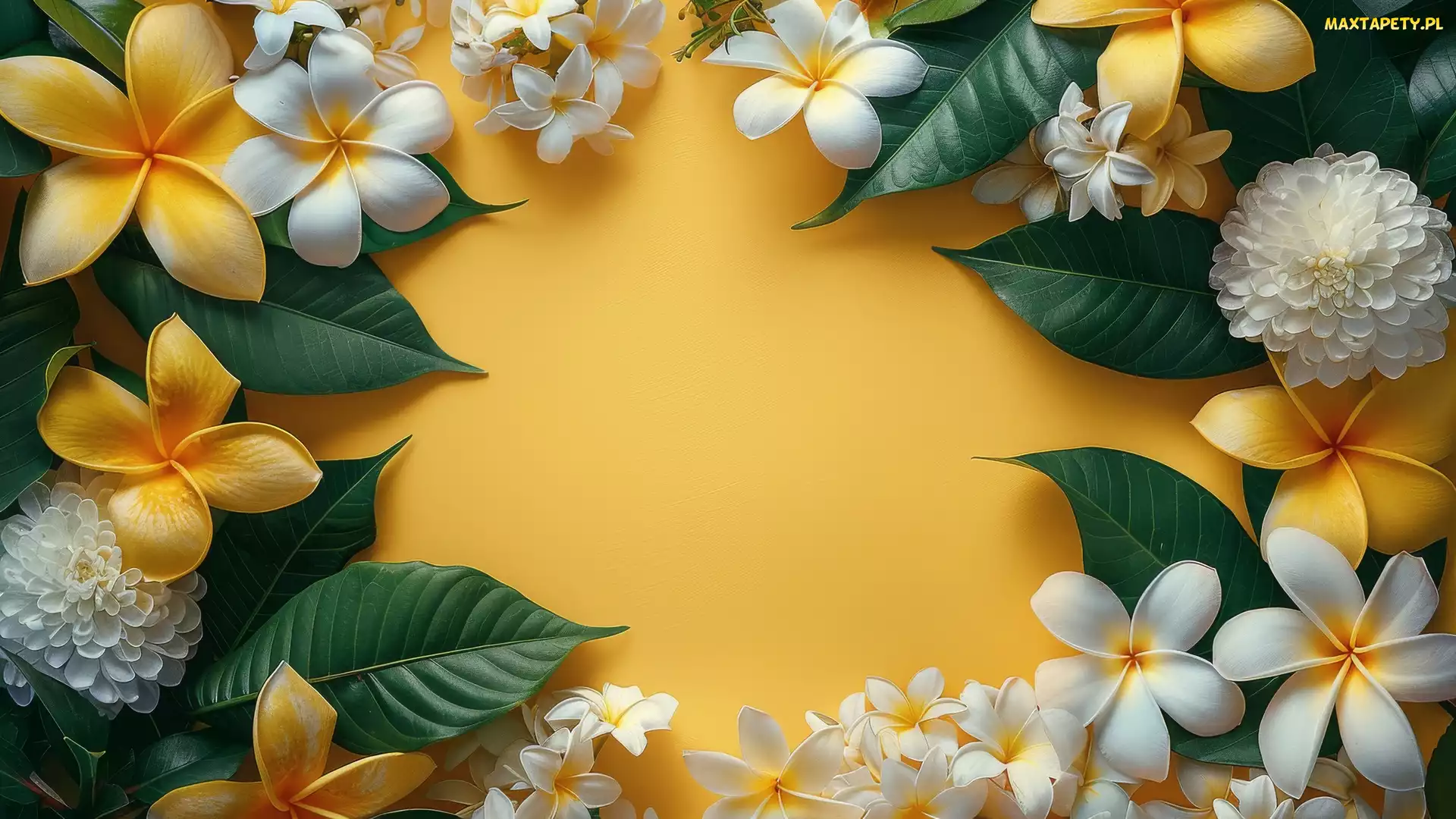 Kwiaty, Liście, Plumeria