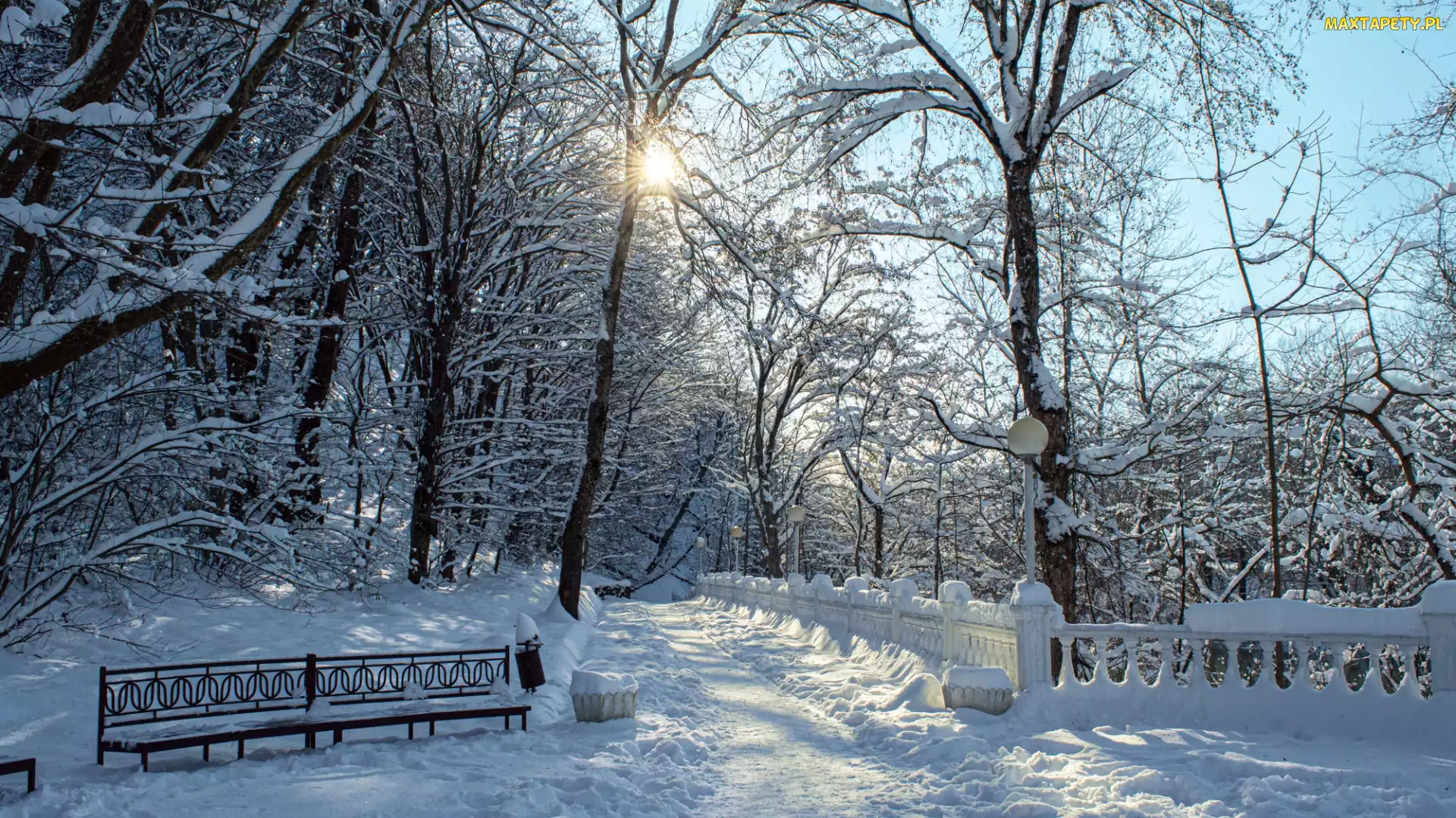 Drzewa, Ogrodzenie, Park, Zima, Ławka, Śnieg