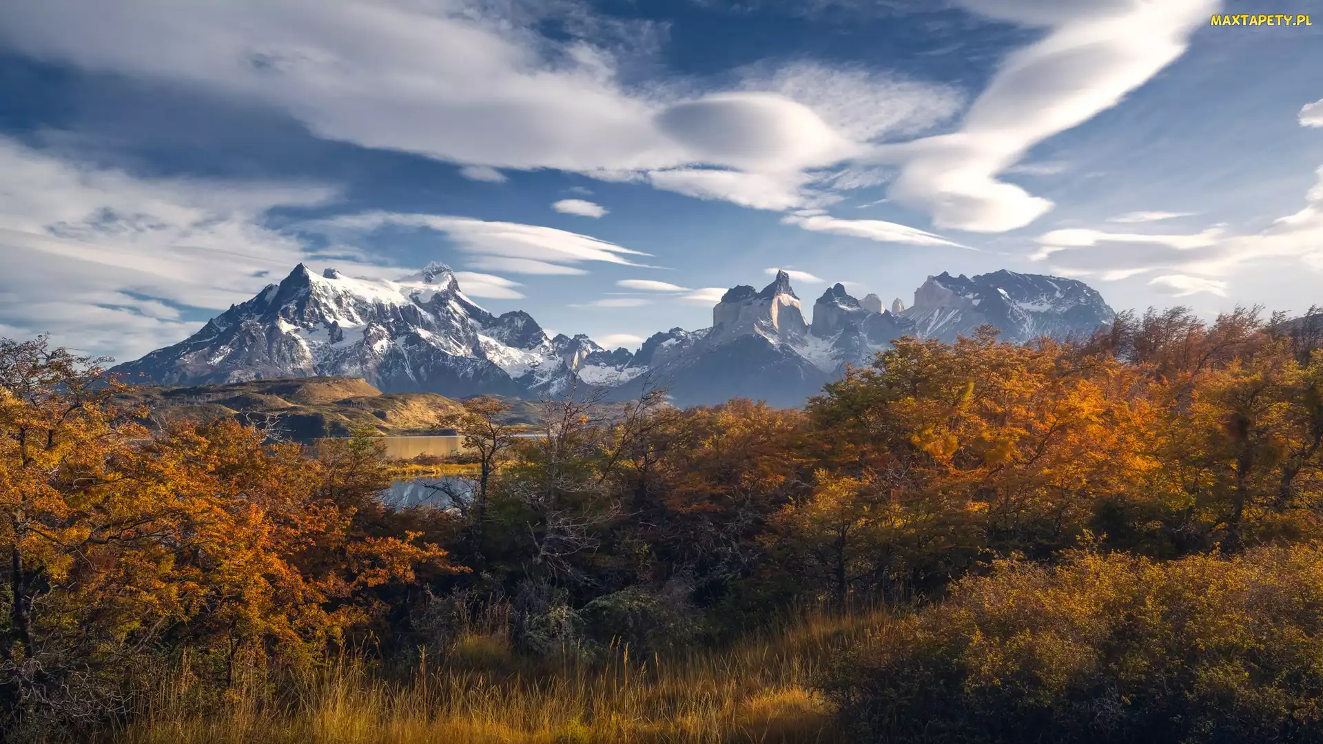 Drzewa, Jesień, Patagonia, Chile, Park Narodowy Torres del Paine, Góry