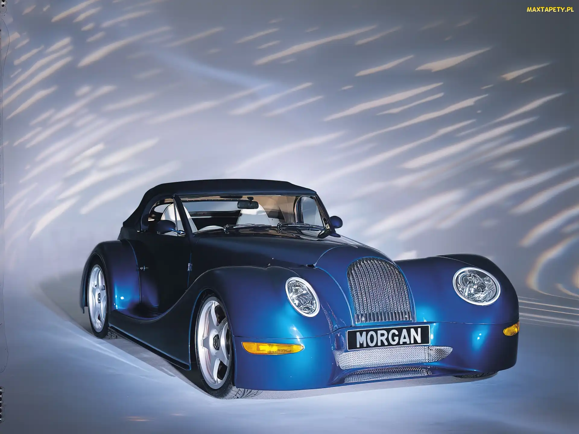 Morgan, Niebieski