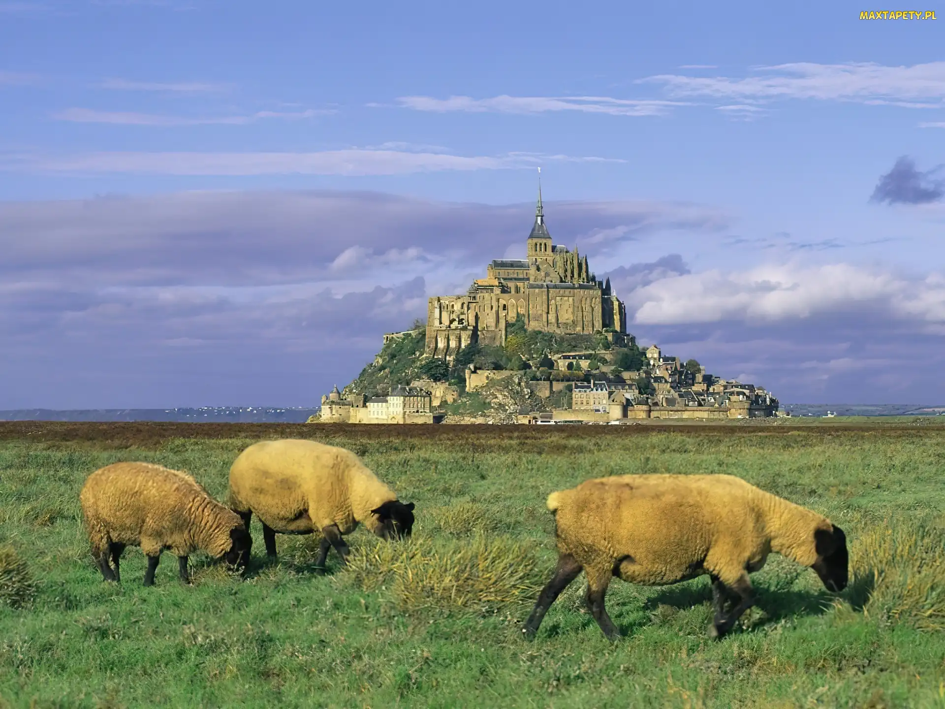 Zamek, San Michel, Francja