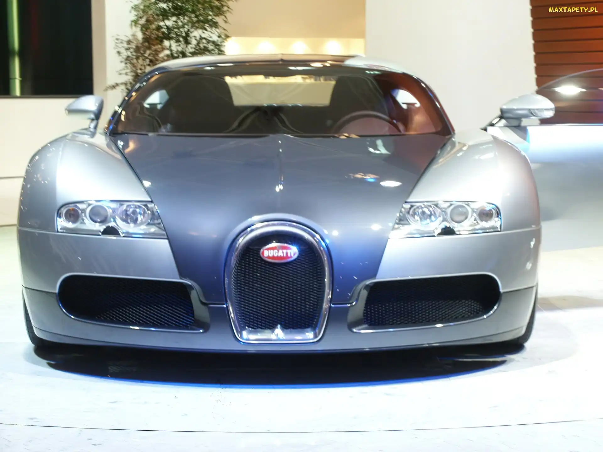 Silver, Przód, Bugatti Veyron, Światła