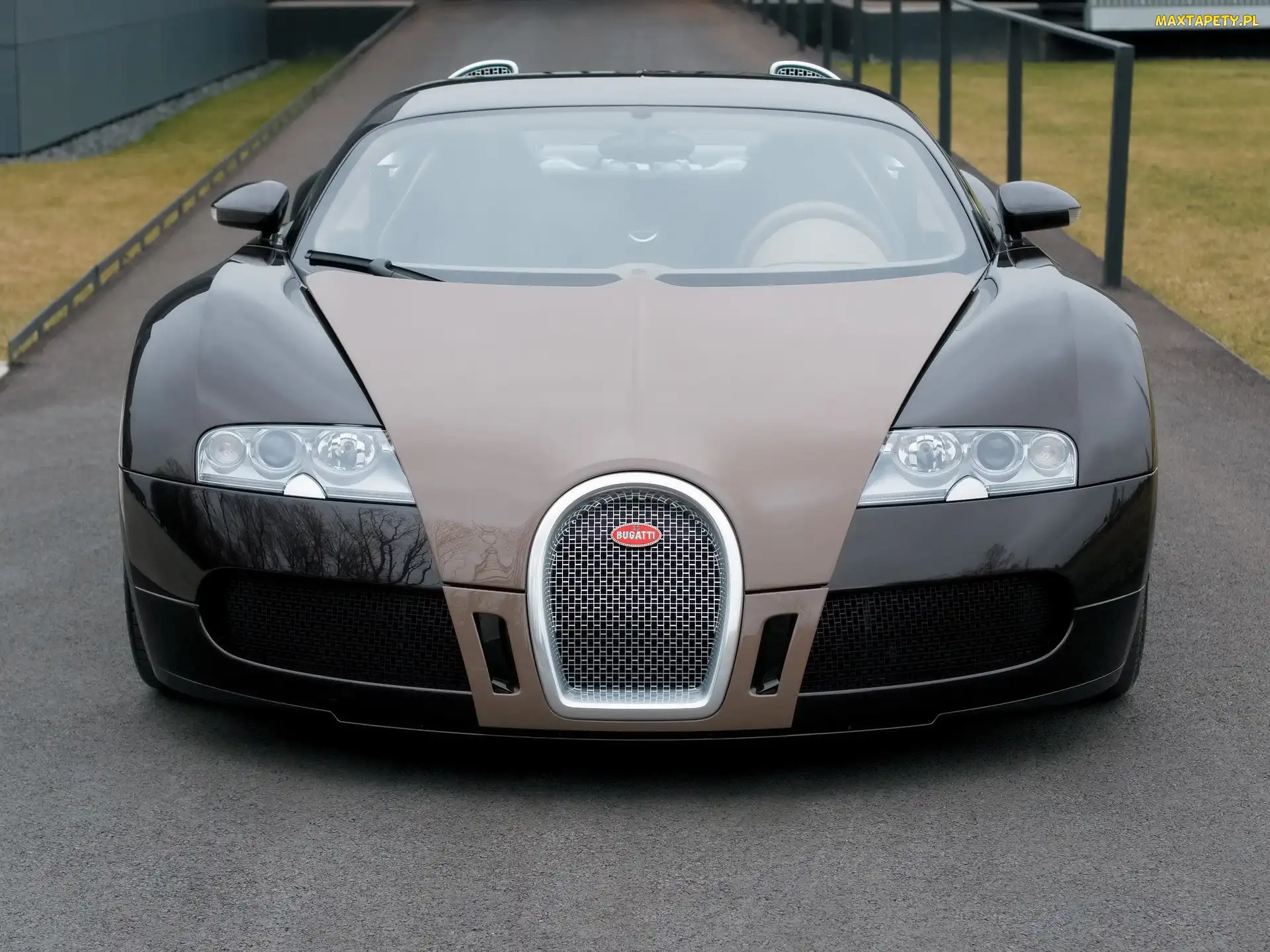 Przód, Bugatti Veyron, Brązowy