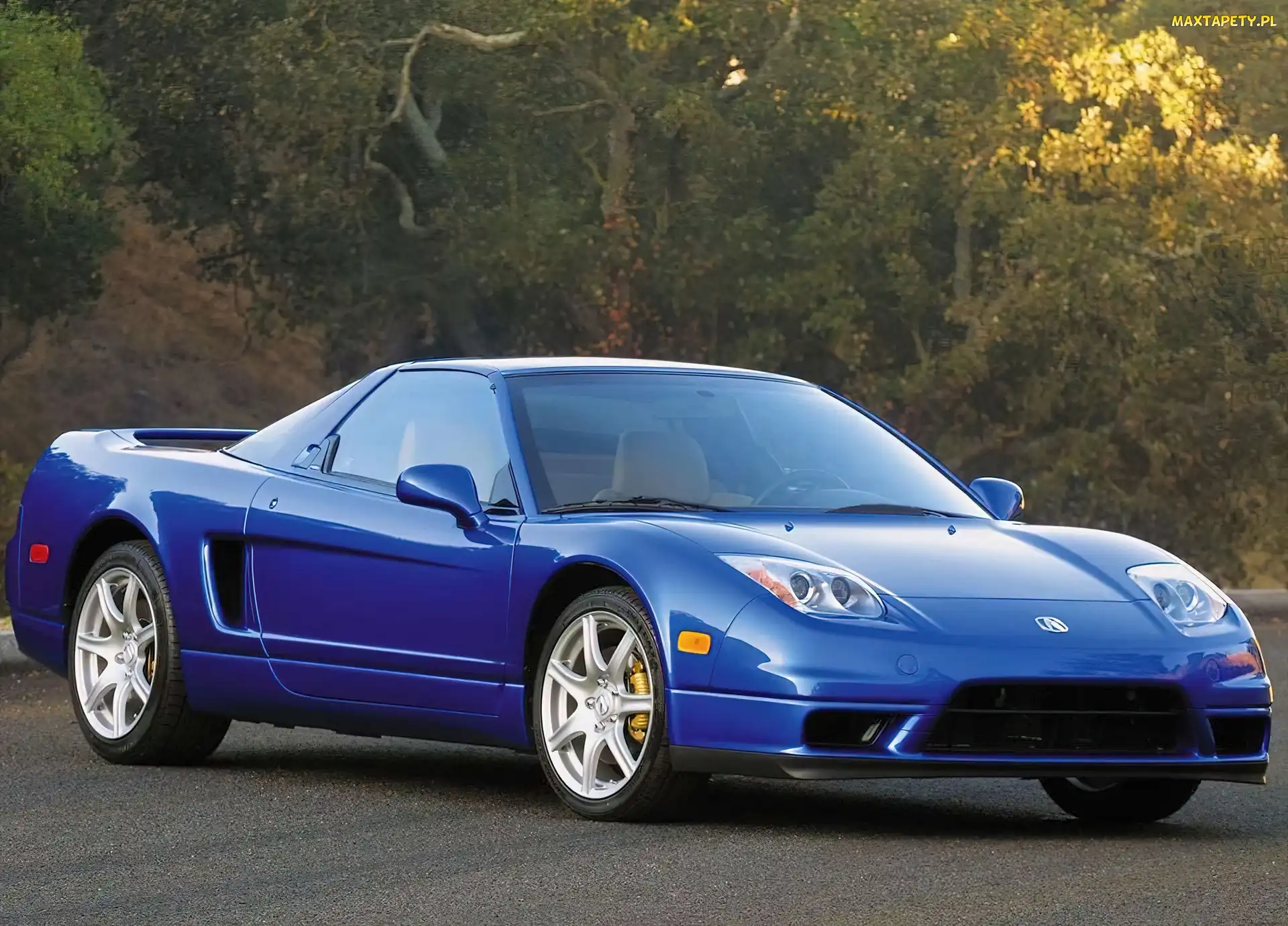 Acura NSX, Spojler, Niebieska