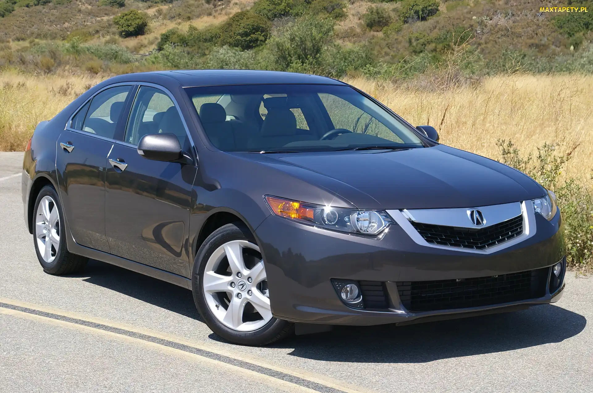 Atrapa, Szyby, Acura TSX