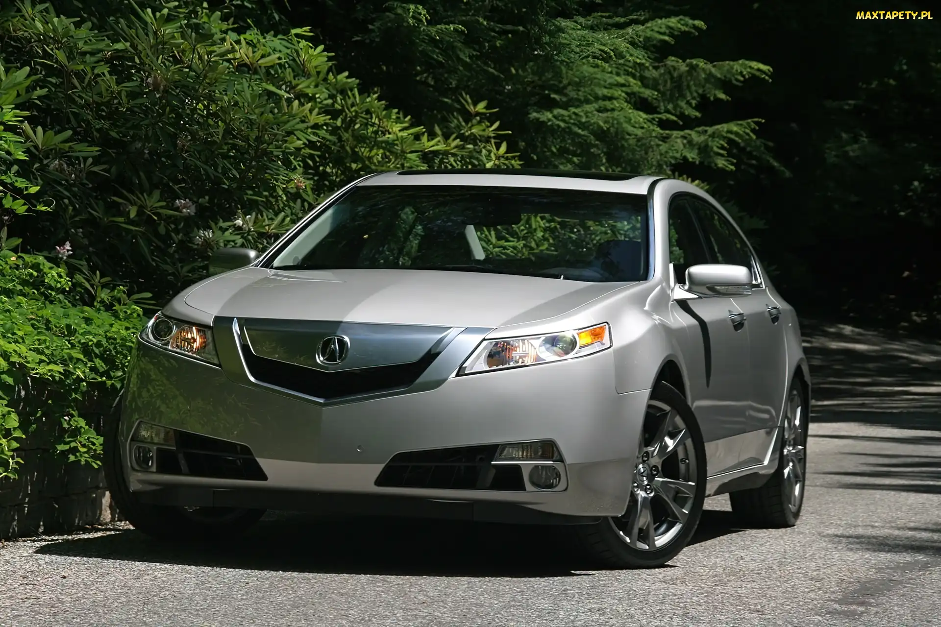 Alufelgi, Polerowane, Przód, Acura TL