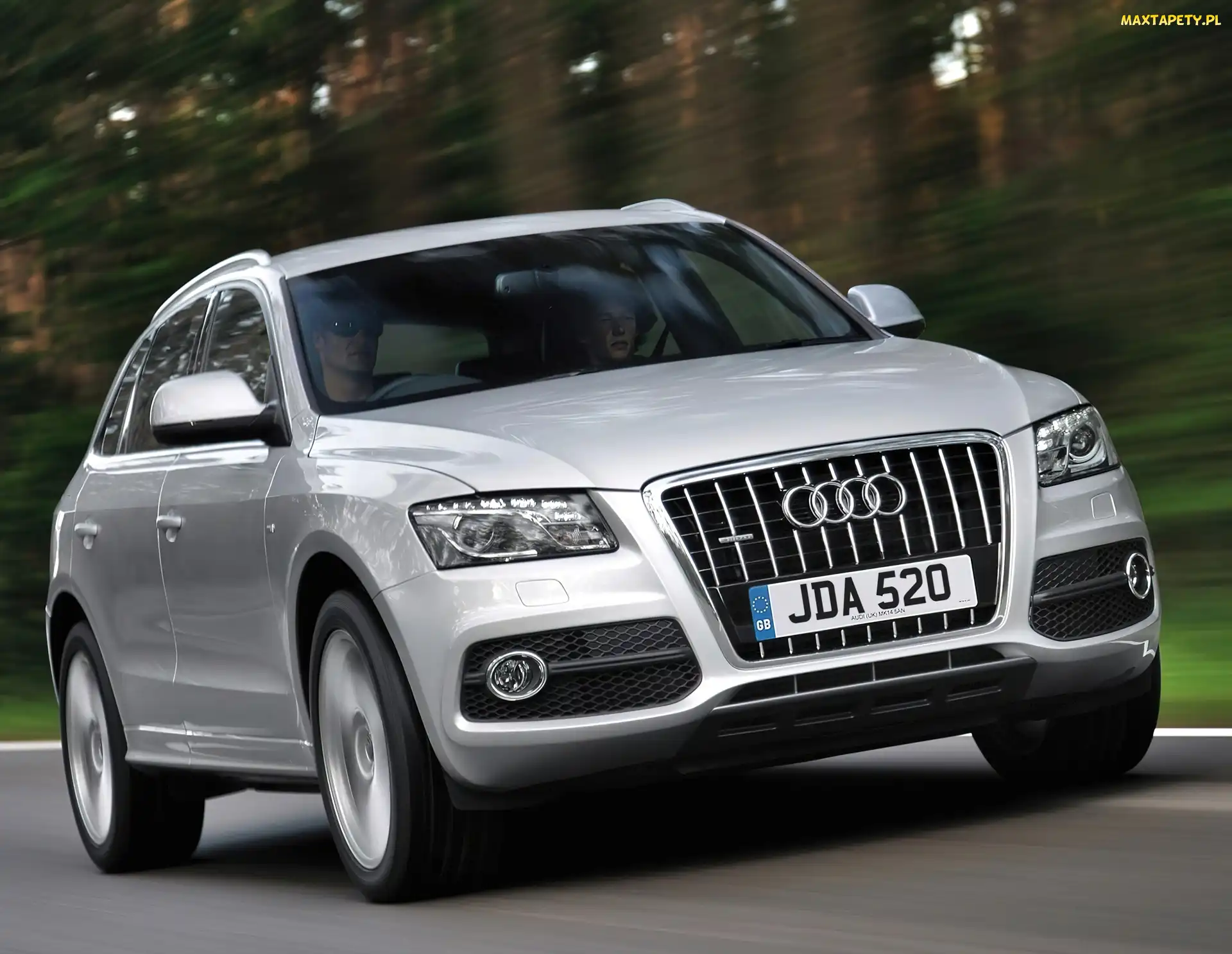Przód, Grill, Duży, Audi Q5