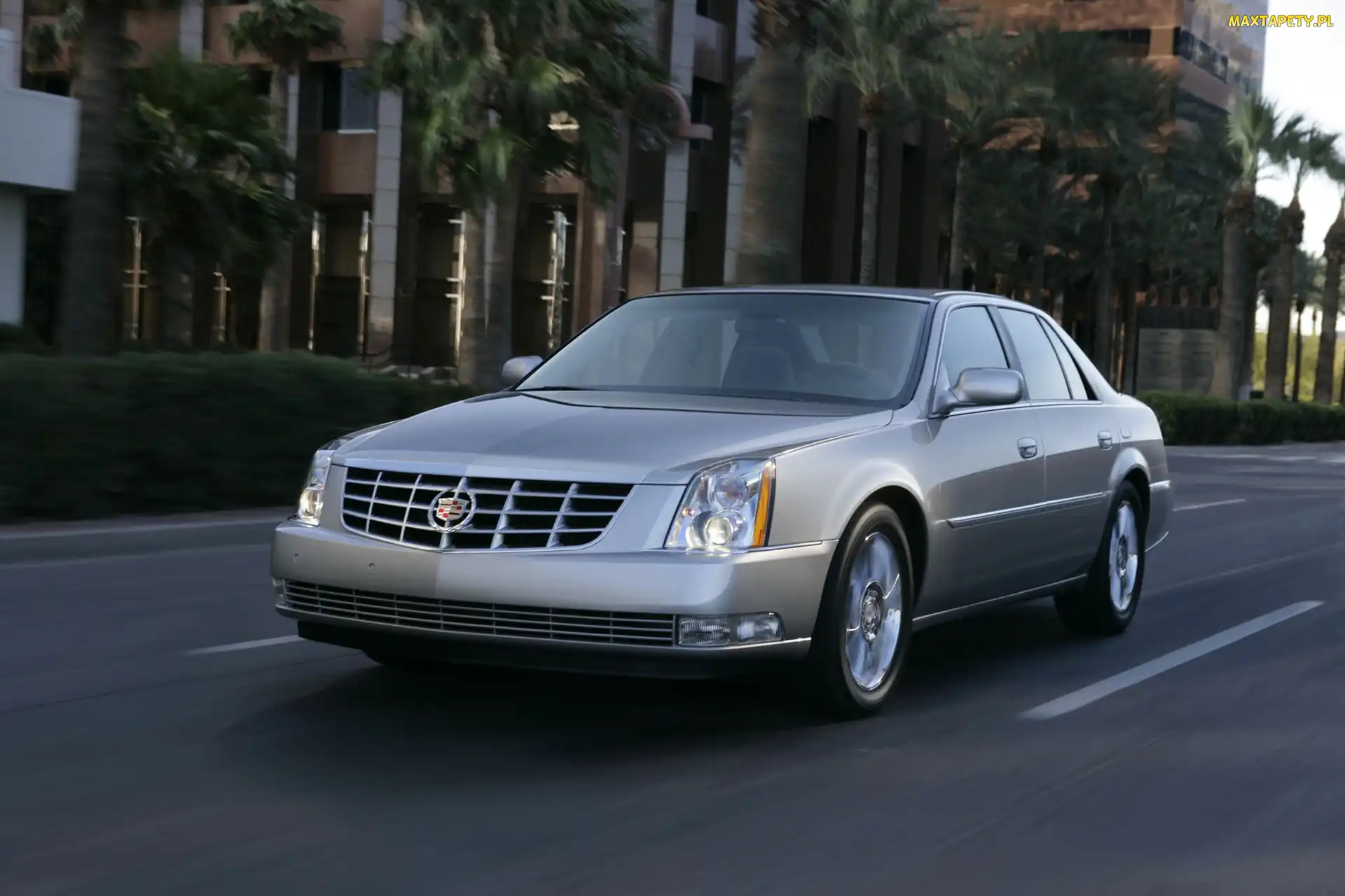 Palmy, Droga, Cadillac DTS