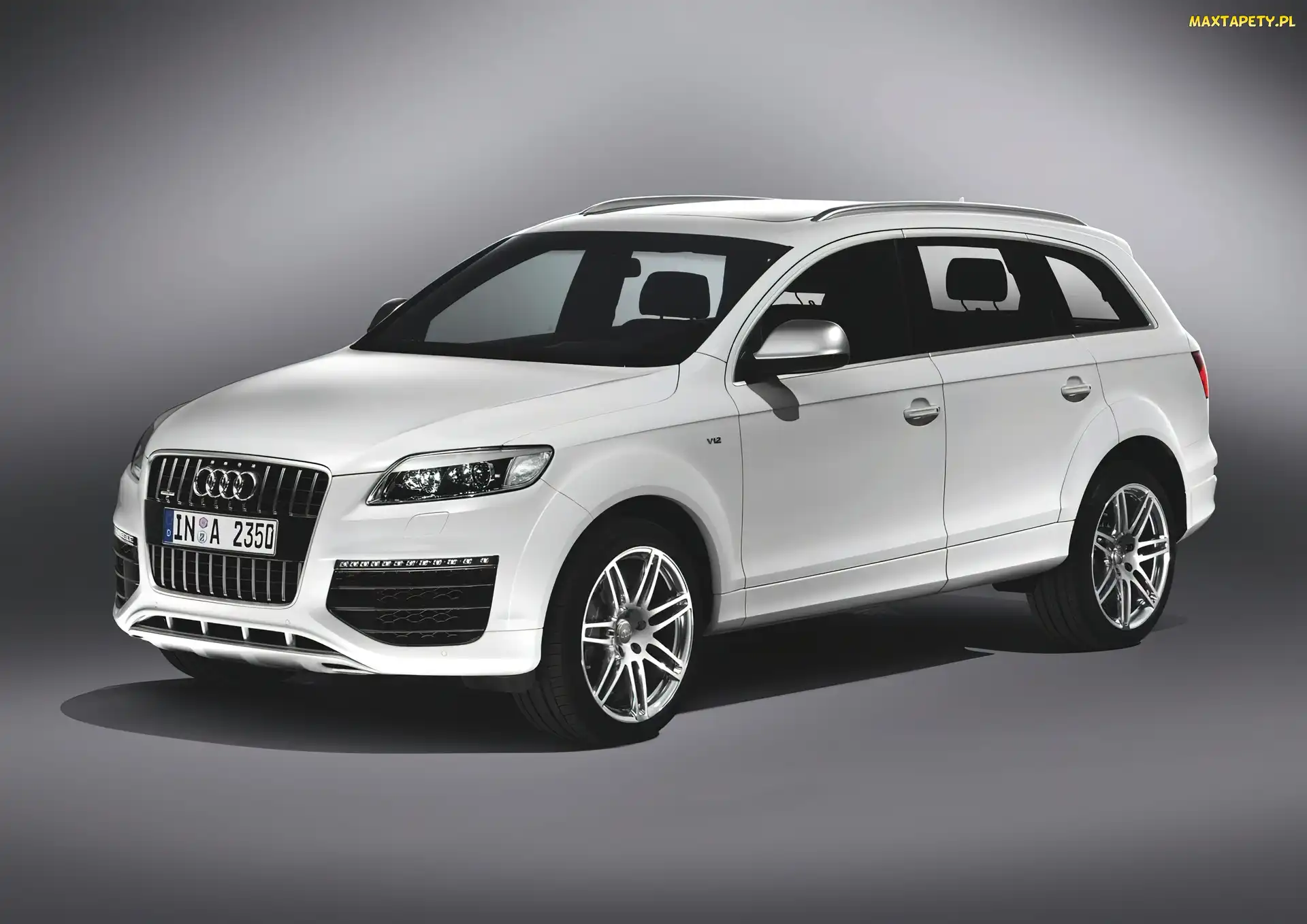 Relingi, Dachowe, Audi Q7