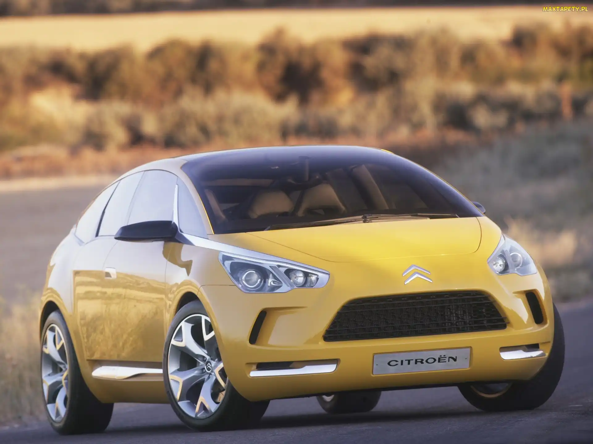 Citroen C-Sportlounge, Atrapa, Przód