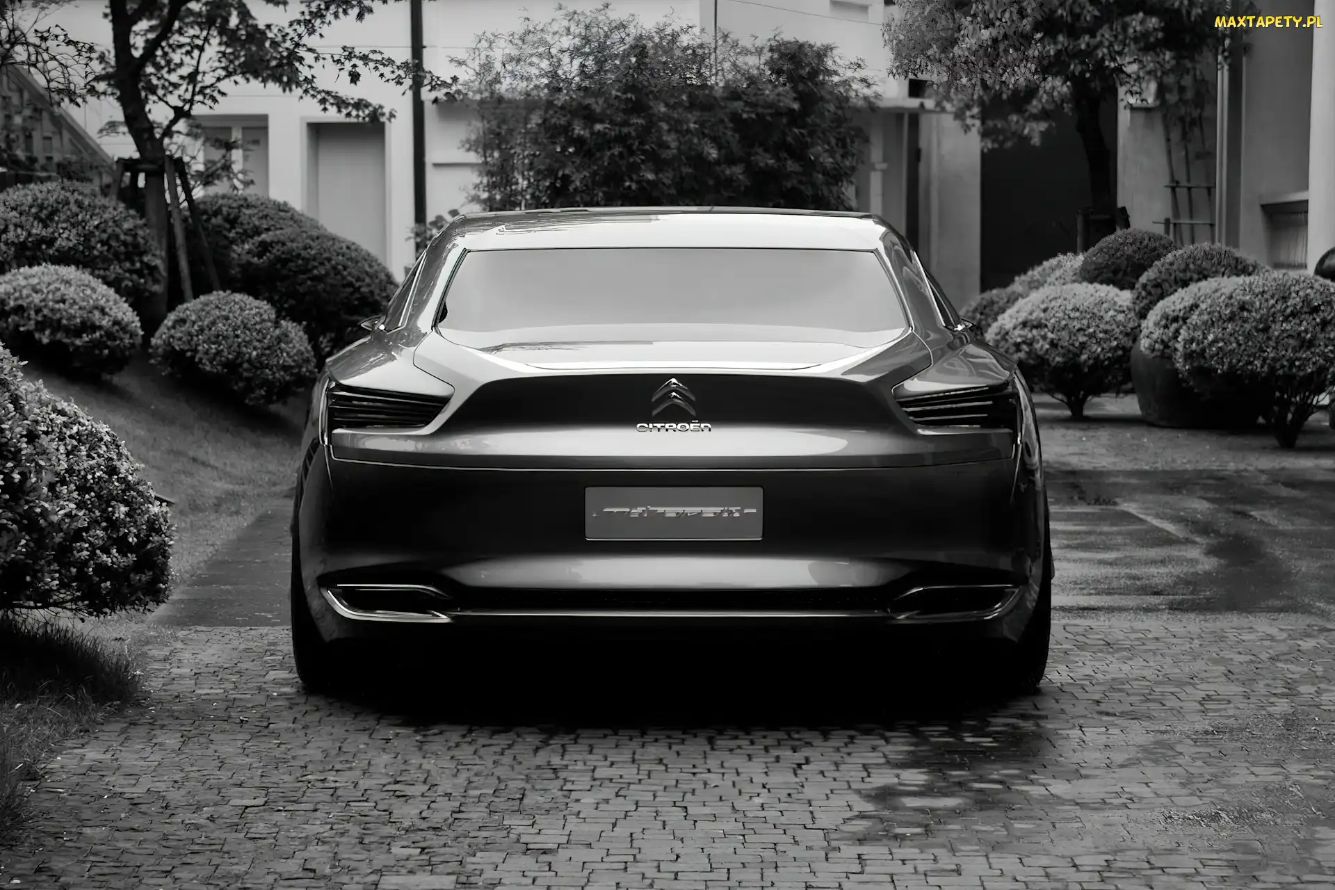 Tył, Wydechu, Końcówki, Citroen Metropolis