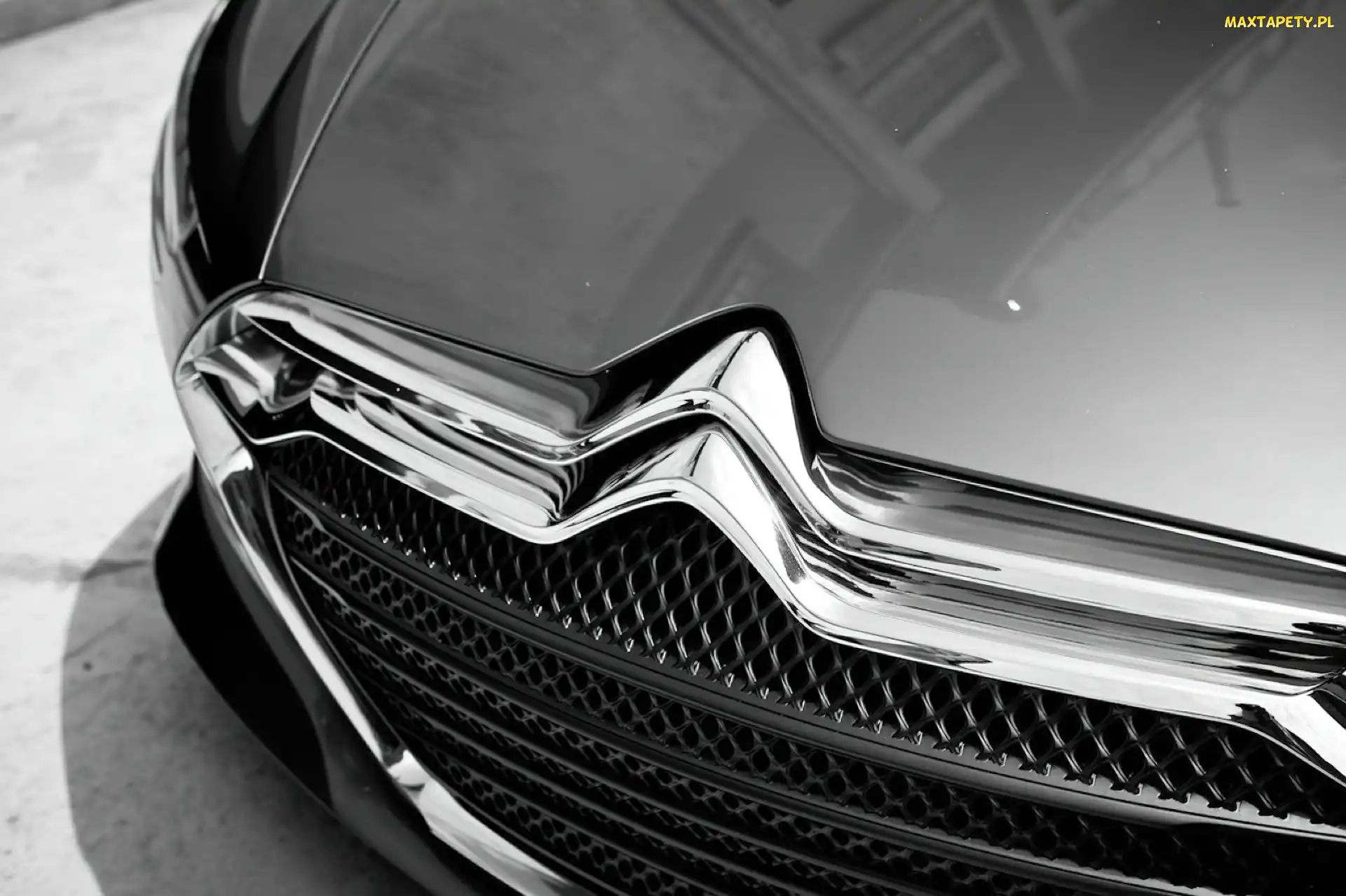 Logo, Grill, Citroen Metropolis
