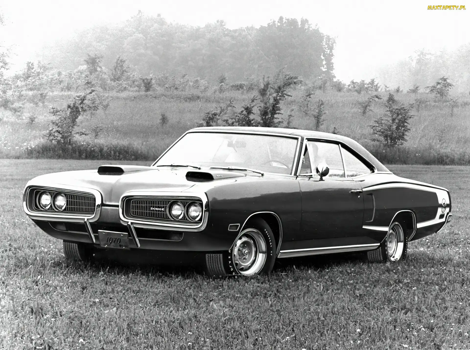Dodge Coronet, Car, Muscle