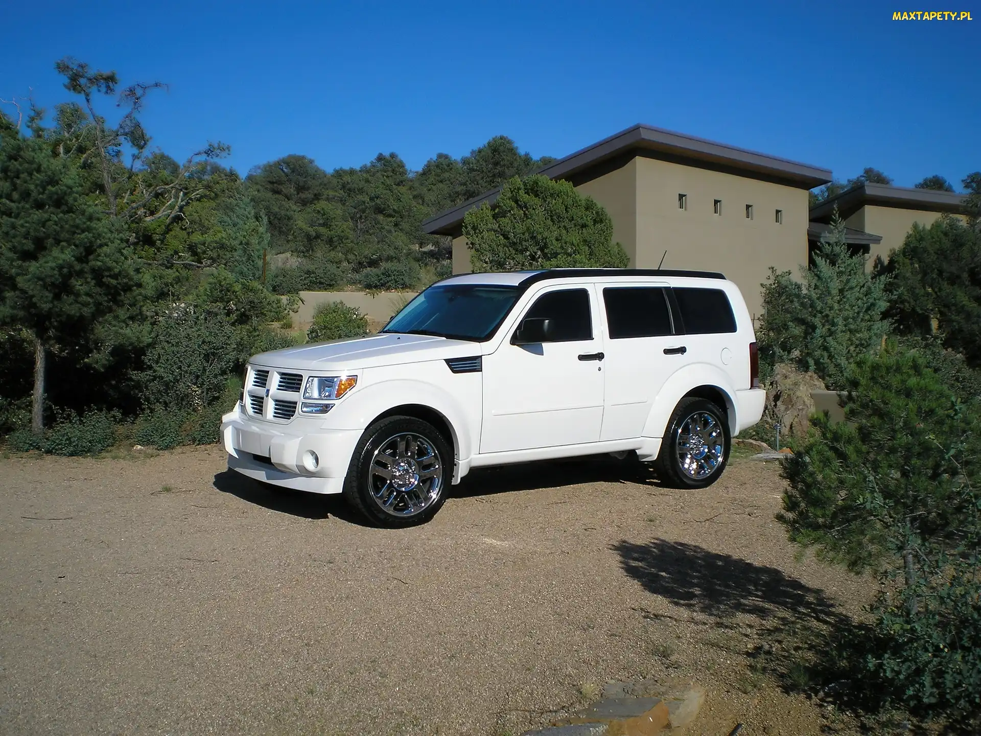 Szyby, Ciemne, Biały, Dodge Nitro