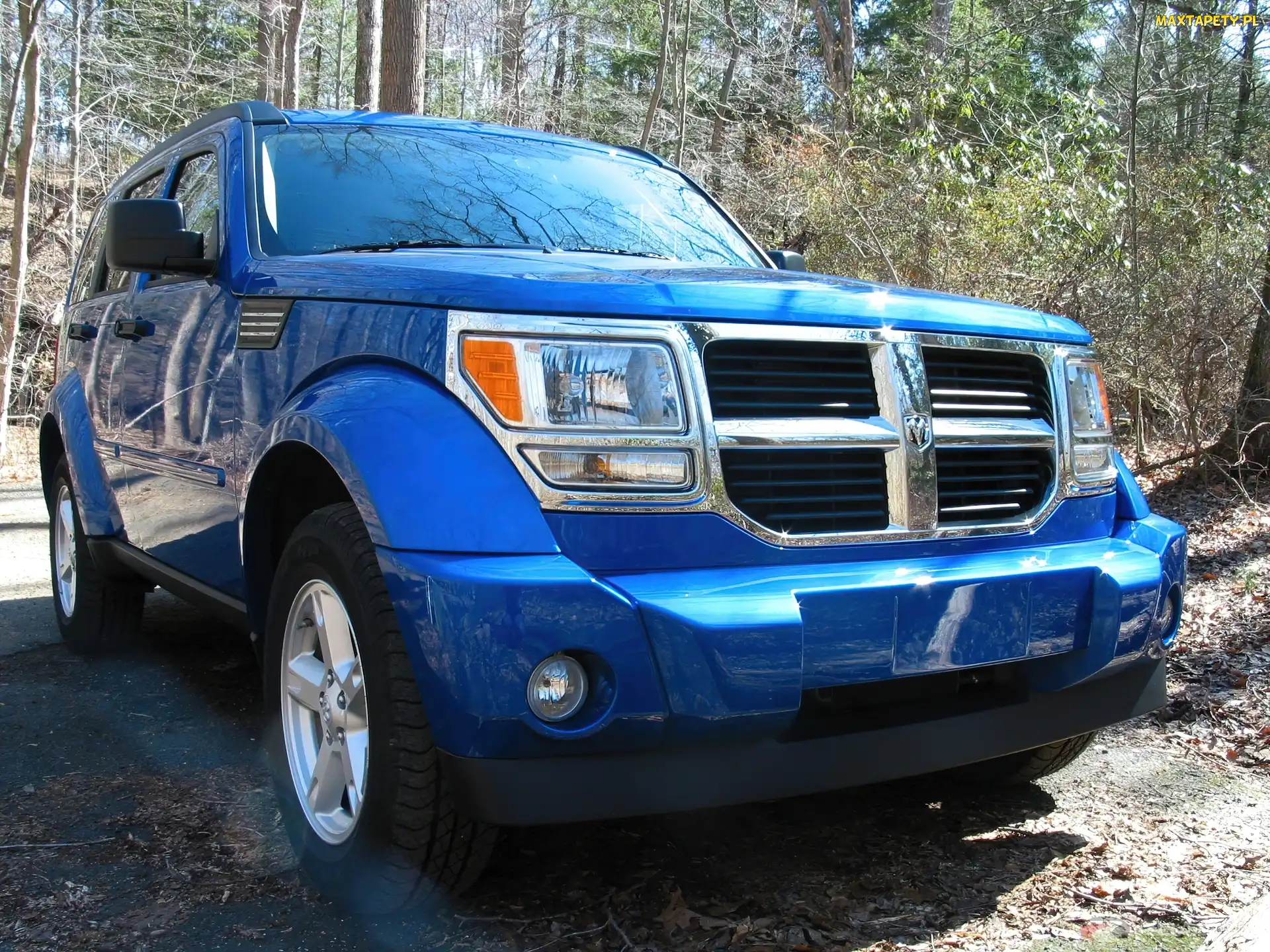Terenie, W, Niebieski, Dodge Nitro