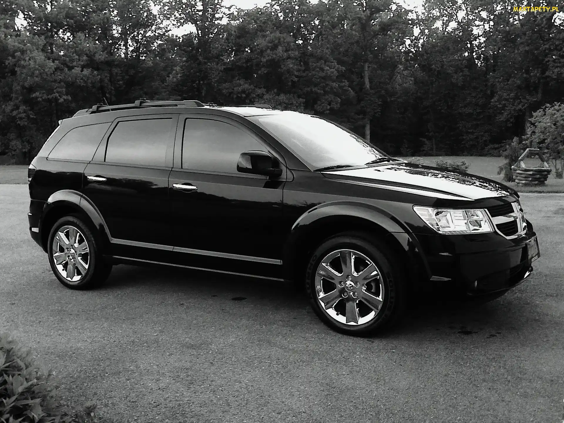 Dodge Journey, Zdjęcie, Białe, Czarno
