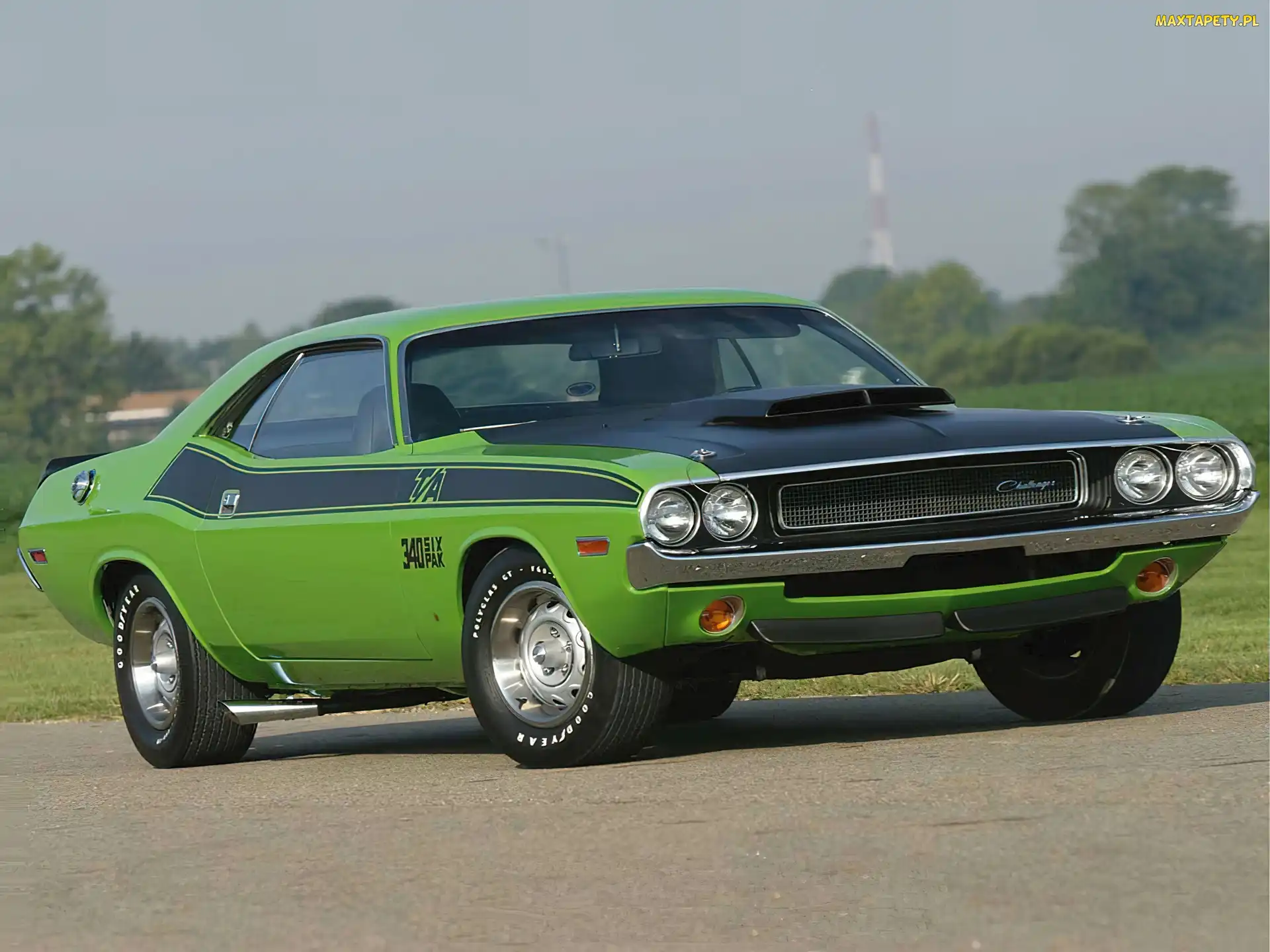 Maska, Wlot, Zielony, Dodge Challenger