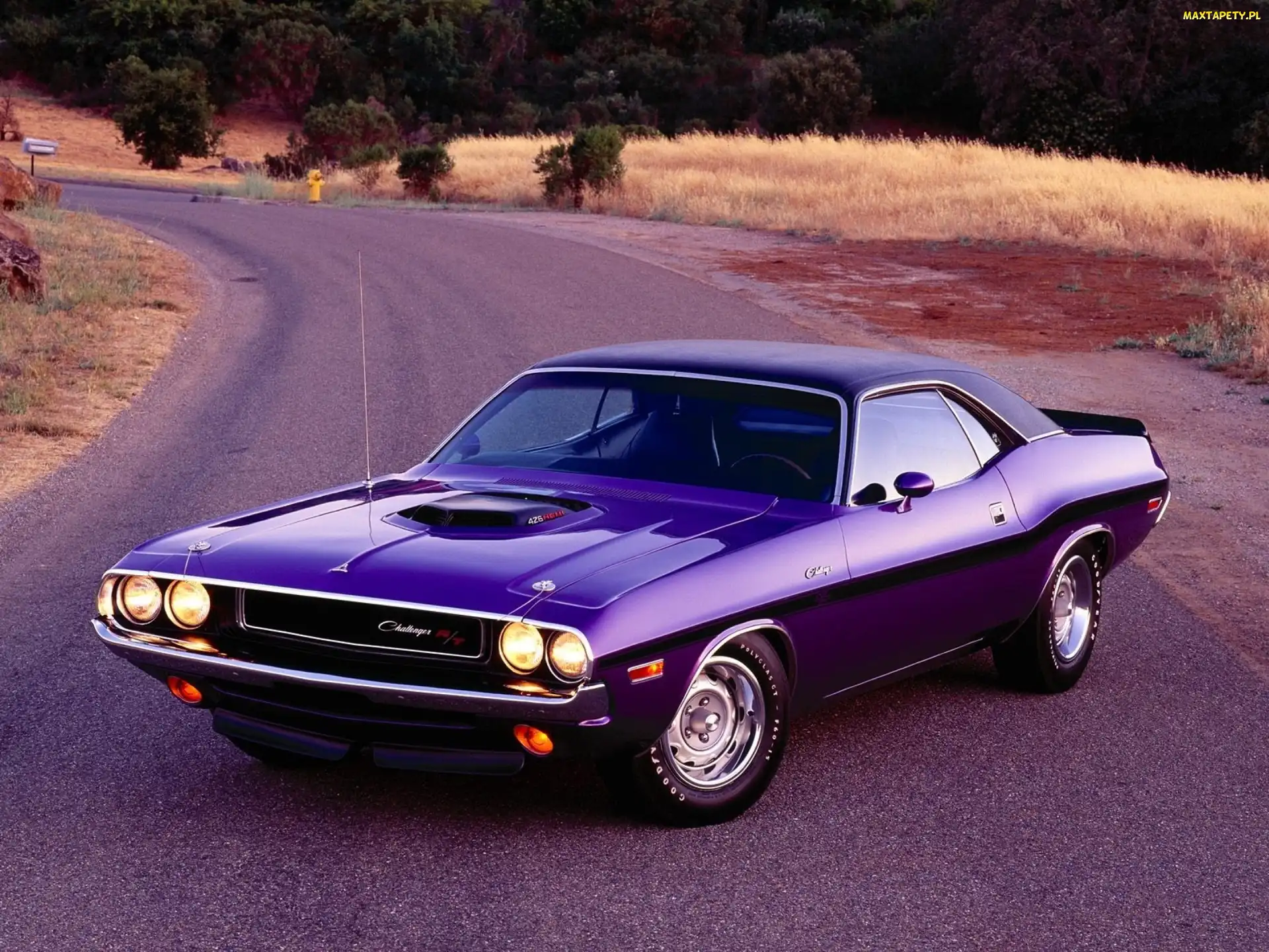 426, Hemi, Dodge Challenger