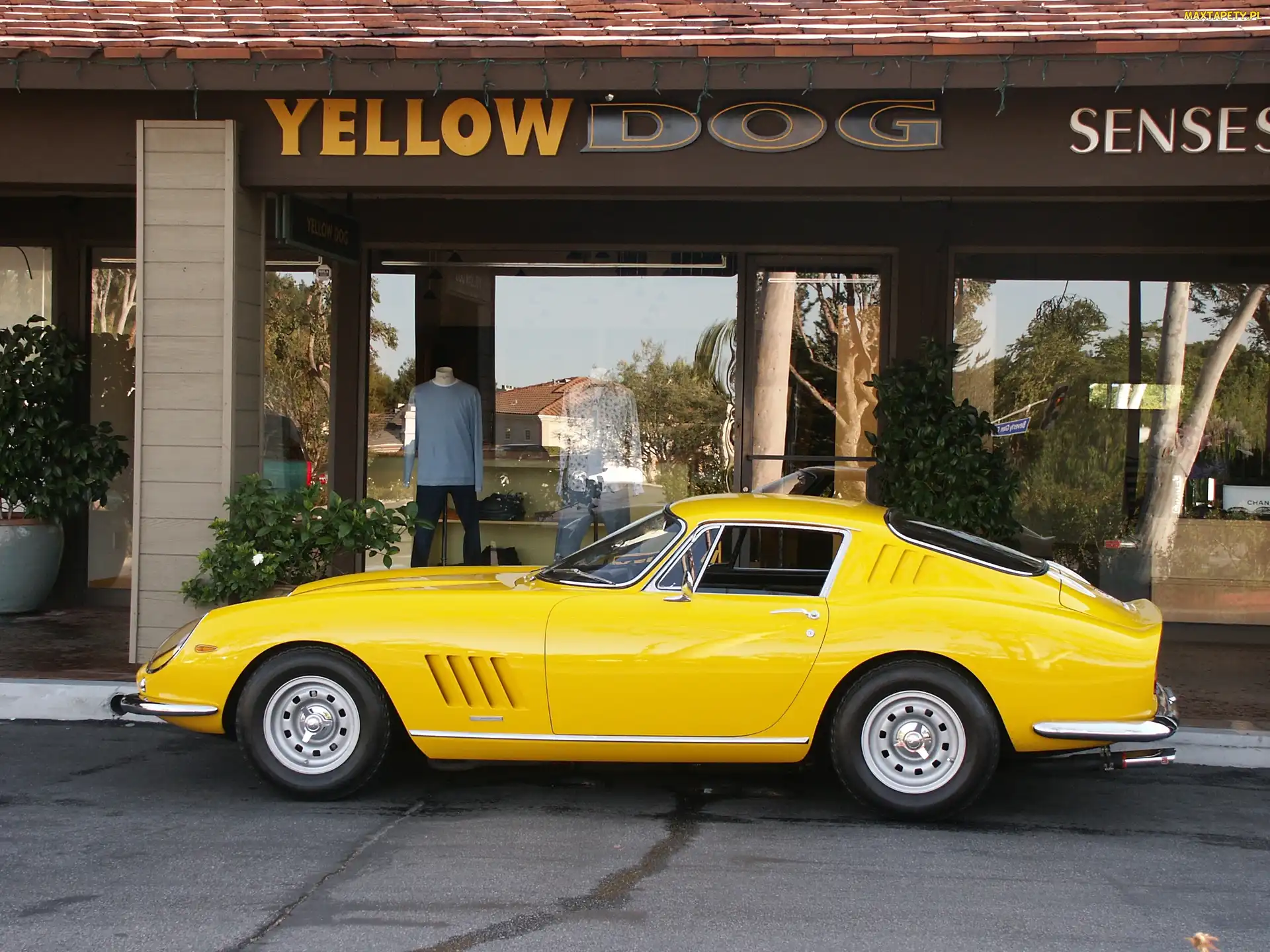 Strona, Kierowcy, Ferrari 275