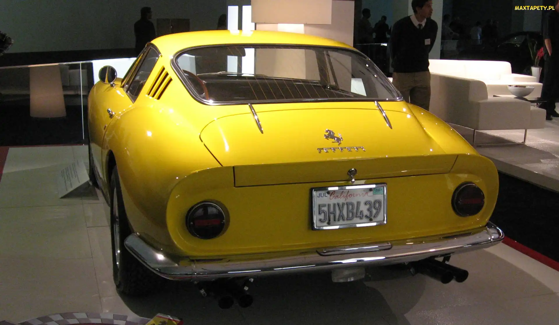 Wydechowe, Rury, Tył, Ferrari 275