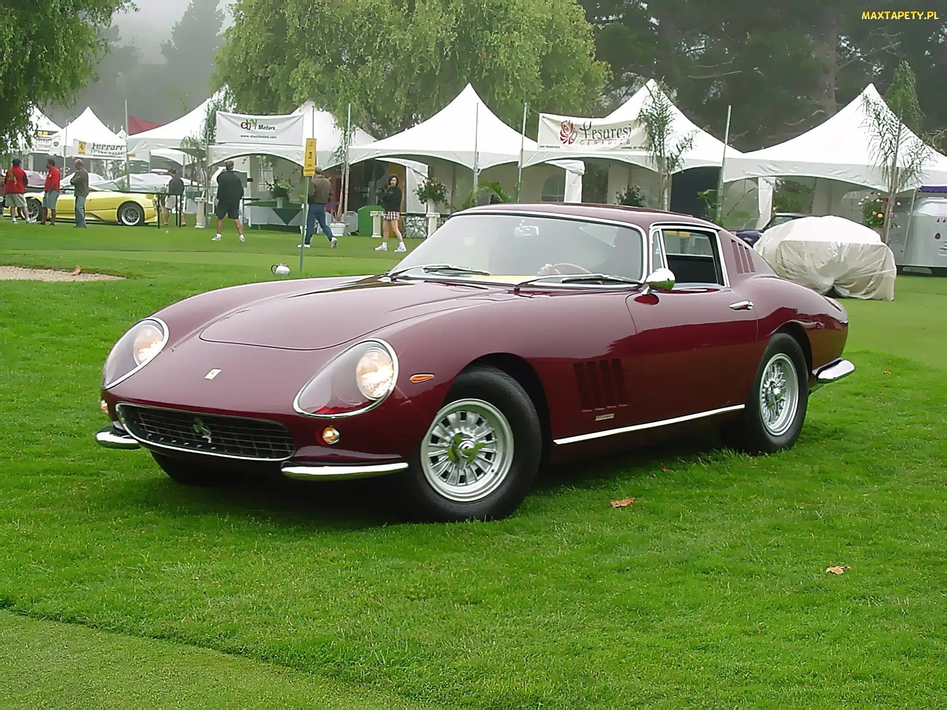 Bordowe, Zlot, Ferrari 275