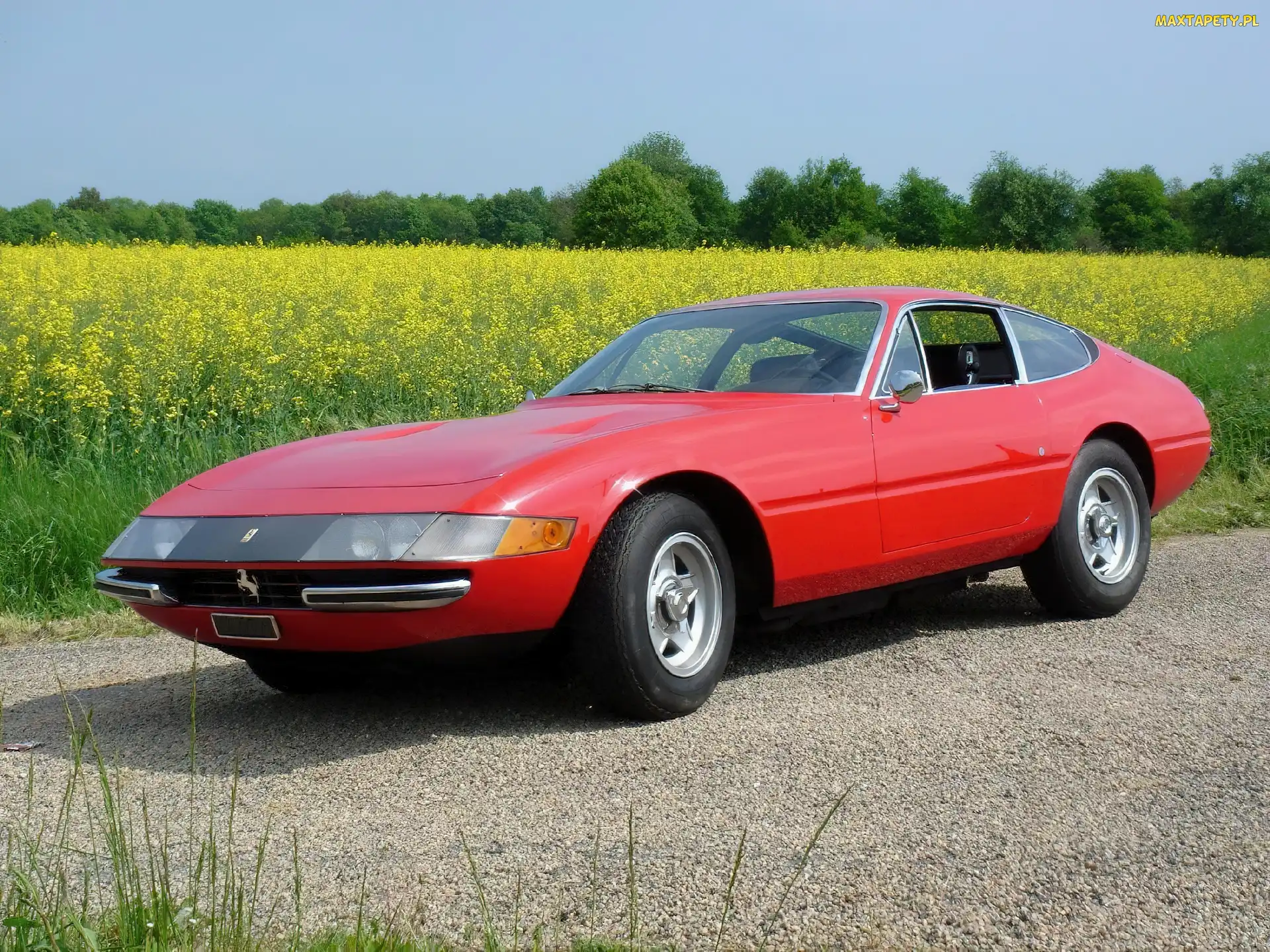 Lewy, Pole, Ferrari Daytona, Bok, Czerwone