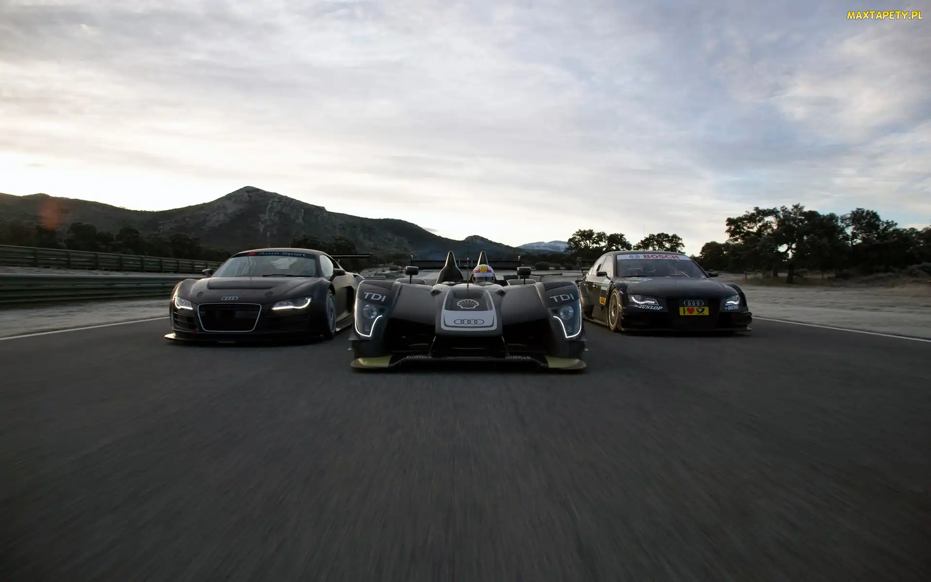 Bolid, TDI, Audi R8