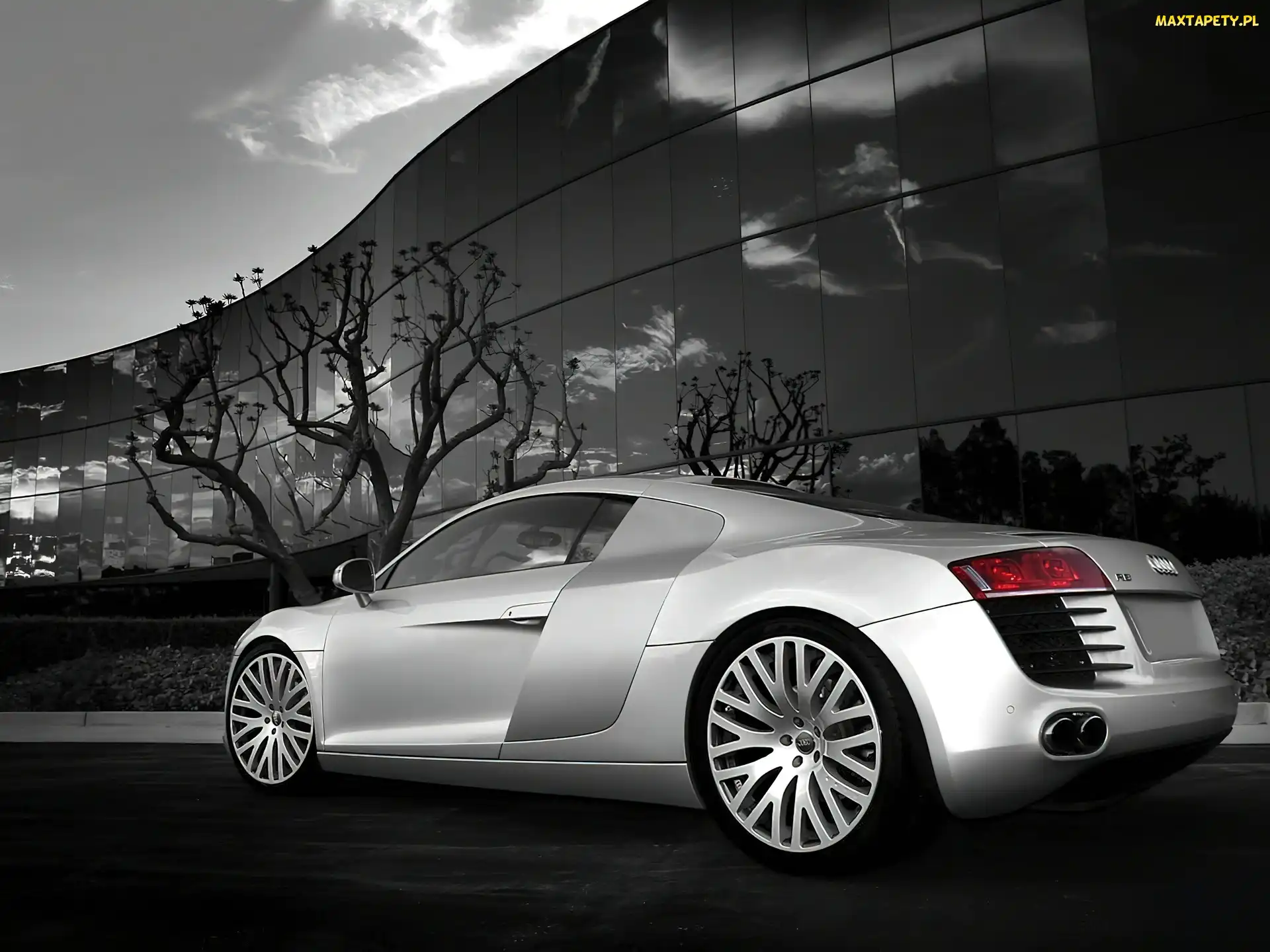 Tył, Audi R8, Lewy