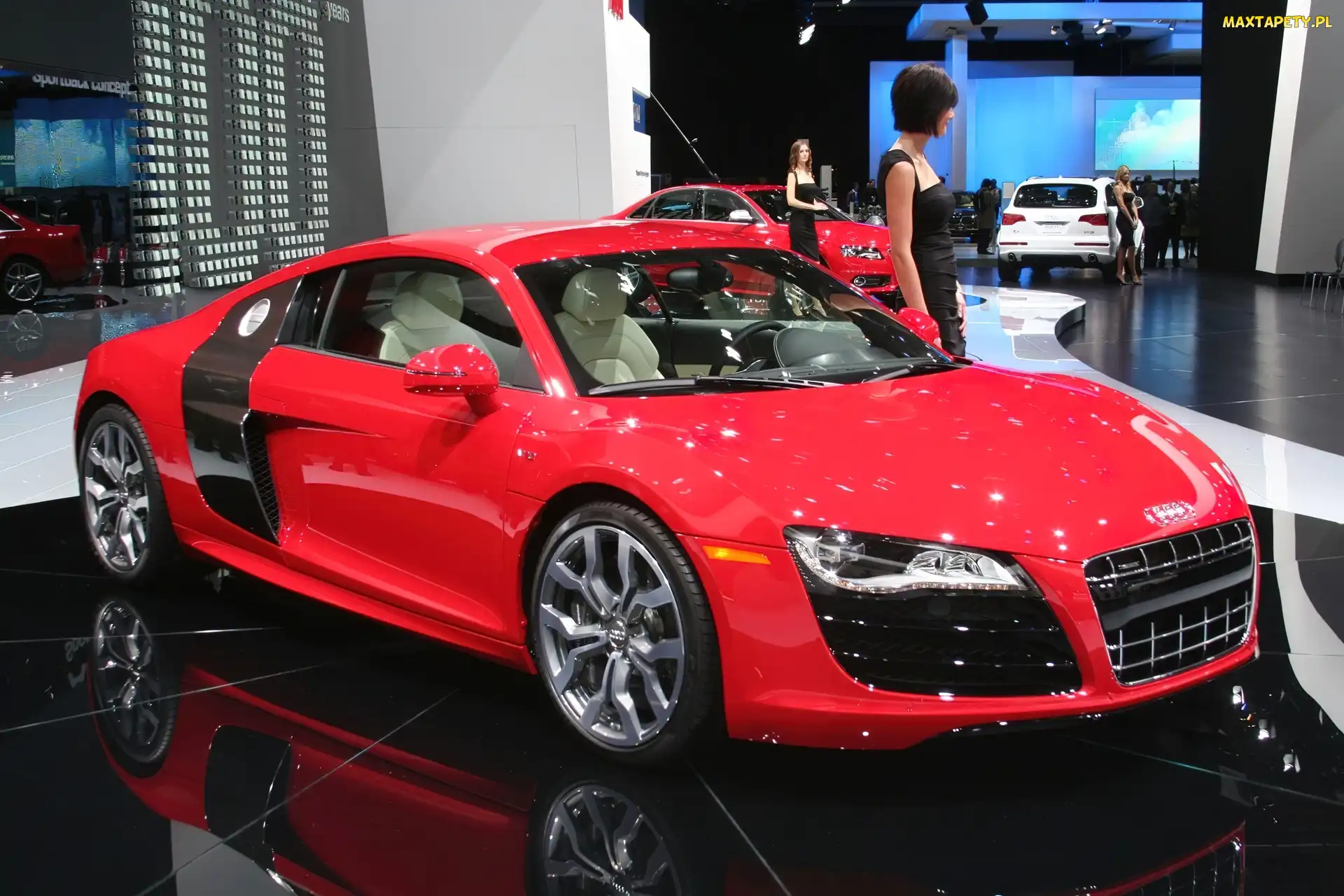 Audi R8, Hostessa, Dealer