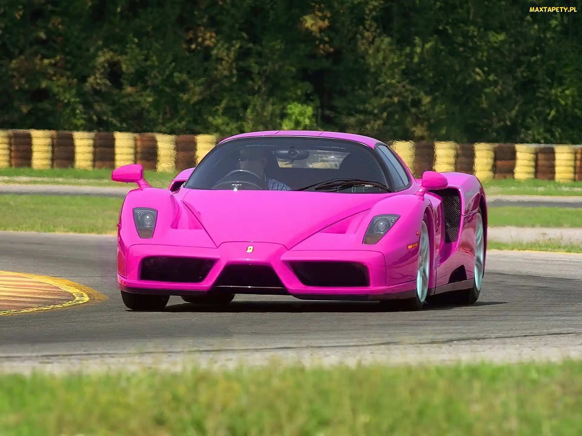 Ferrari, Enzo, Różowe