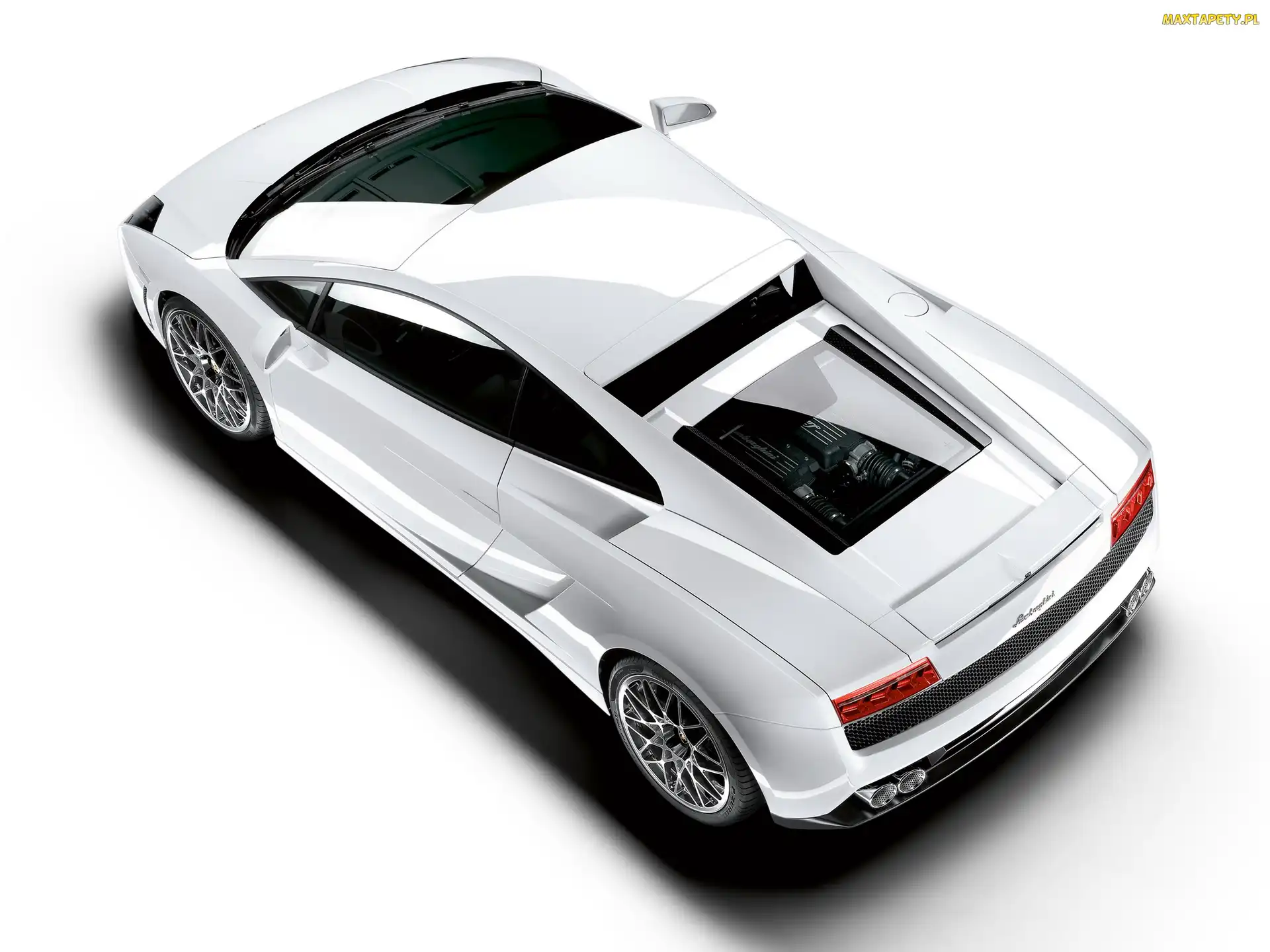 Lamborghini Gallardo, Silnik, Białe