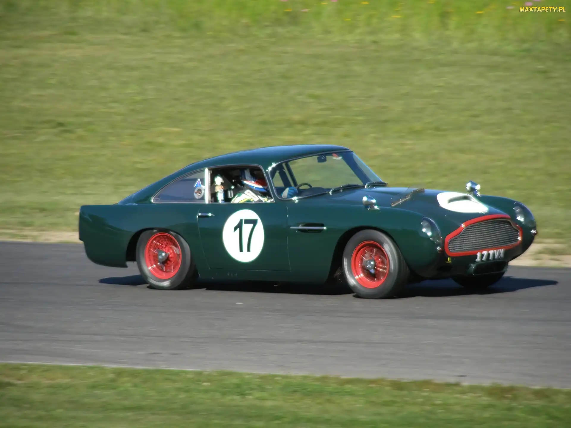 Aston Martin DB4, Startowy, Numer