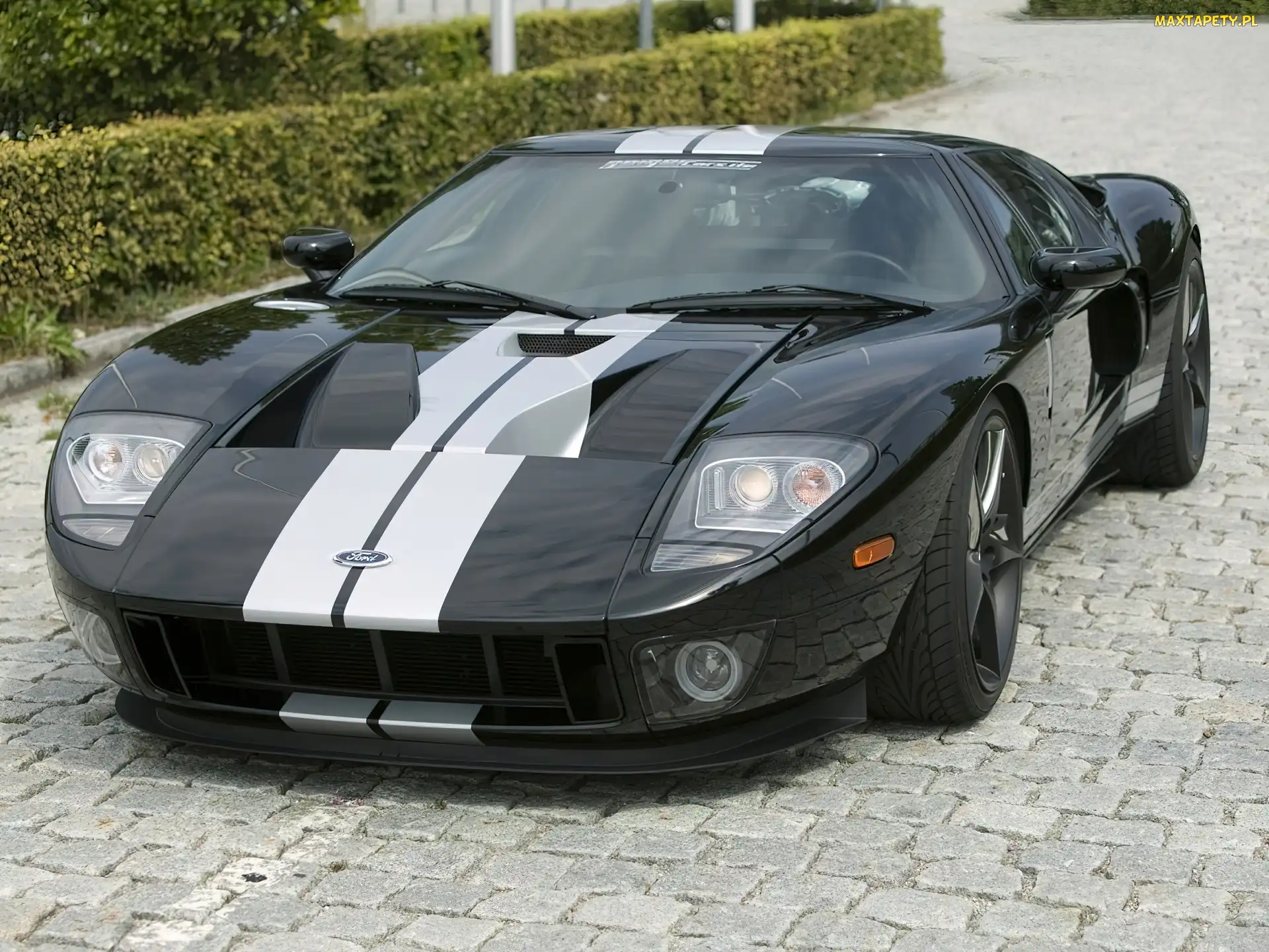 Ford GT, Nadwozia, Linia, Sportowa