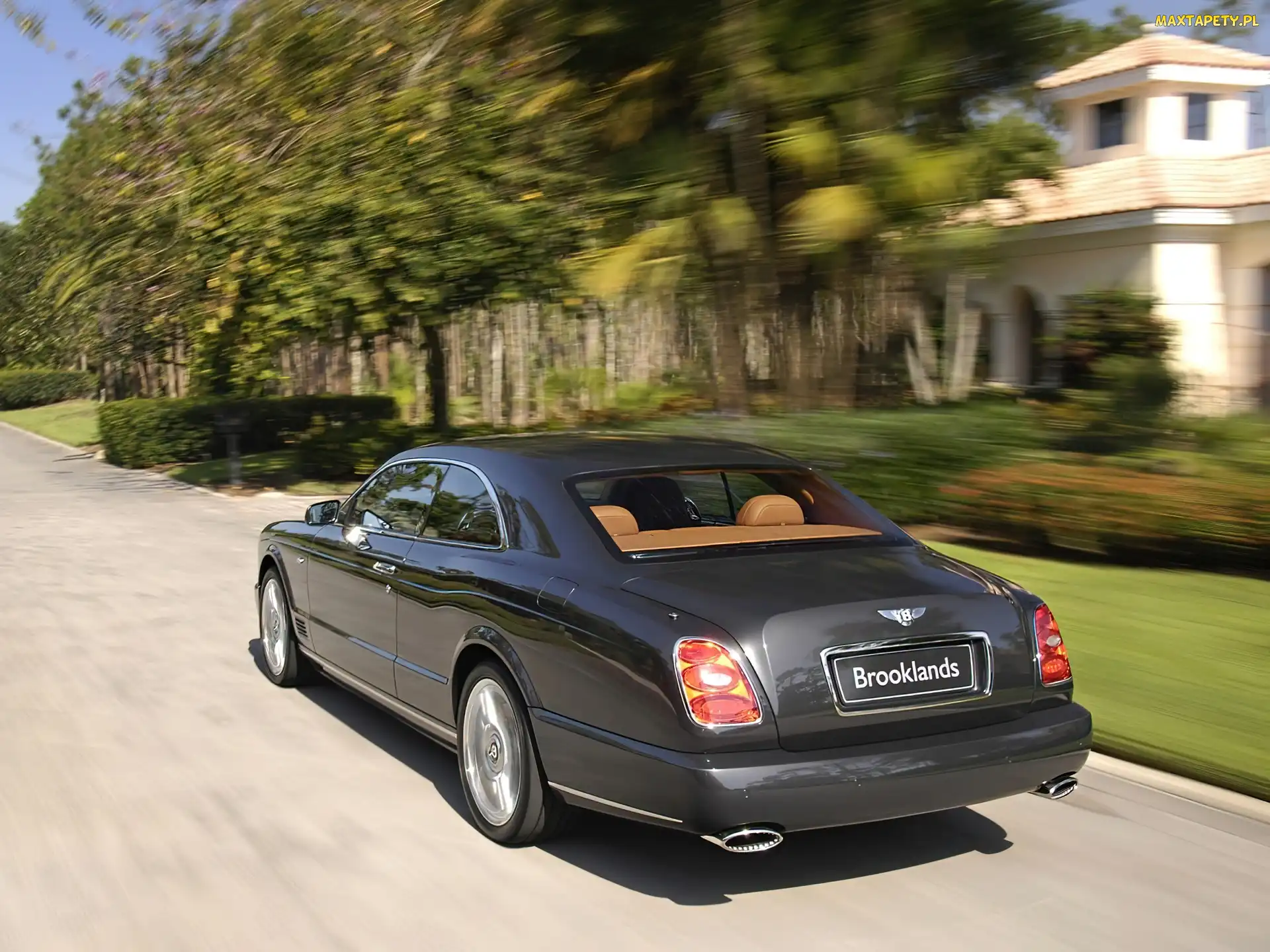 Łososiowe, Skóry, Bentley Brooklands