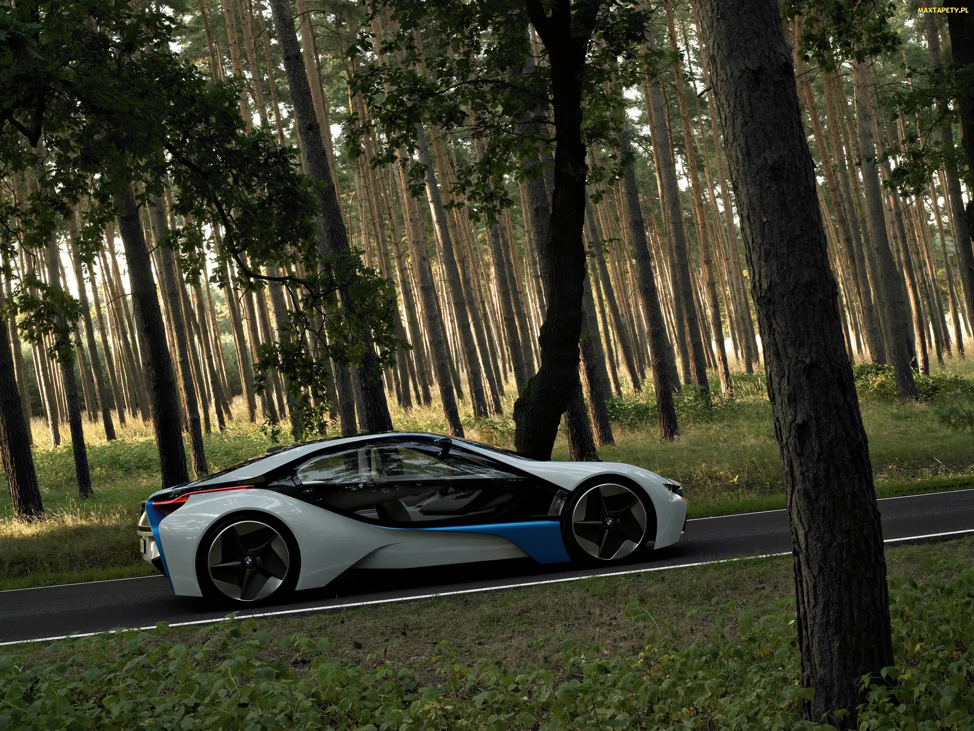 BMW Vision, Strona, Prawa