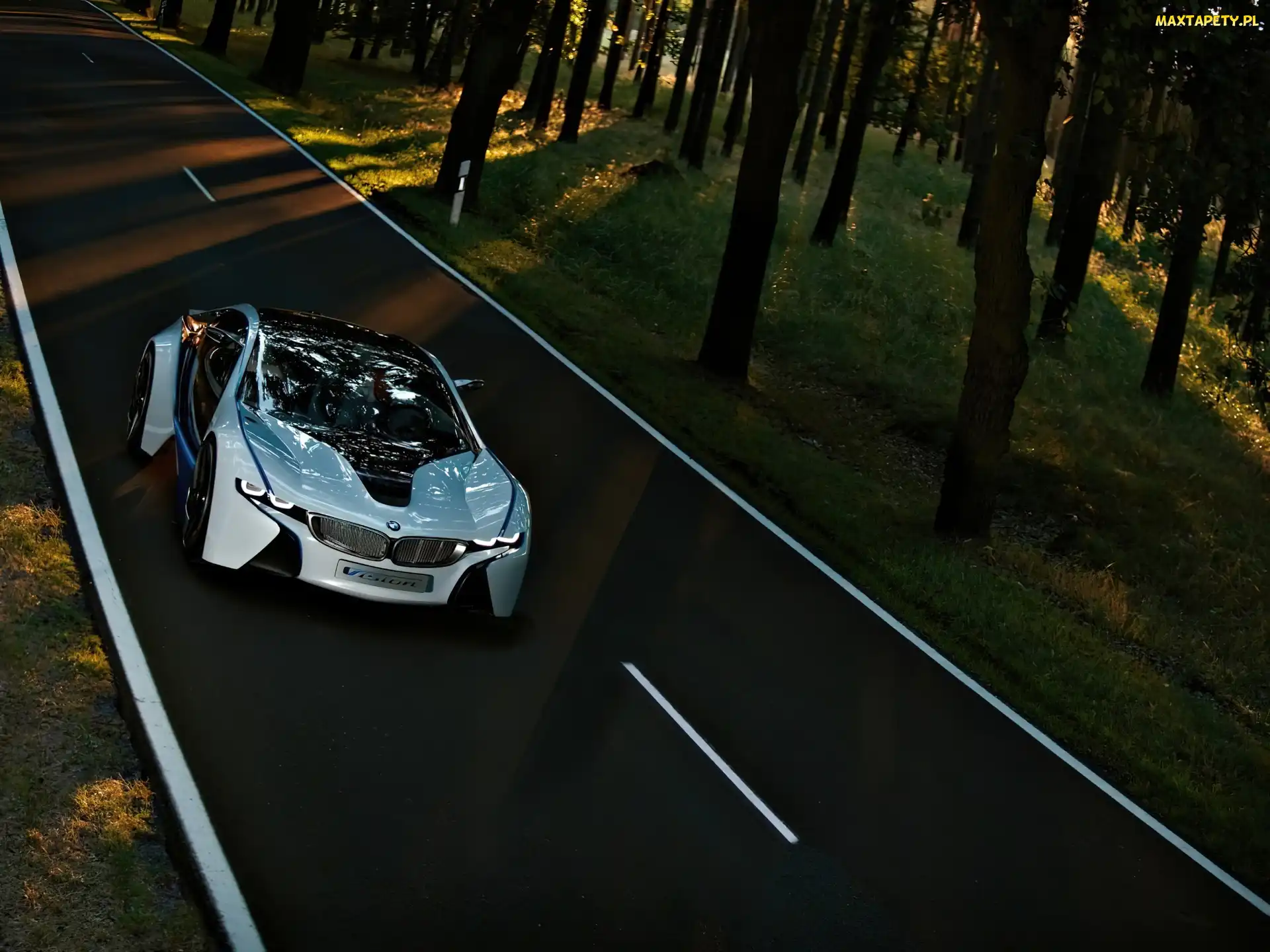 Przestrzeń, Przeszklona, BMW Vision