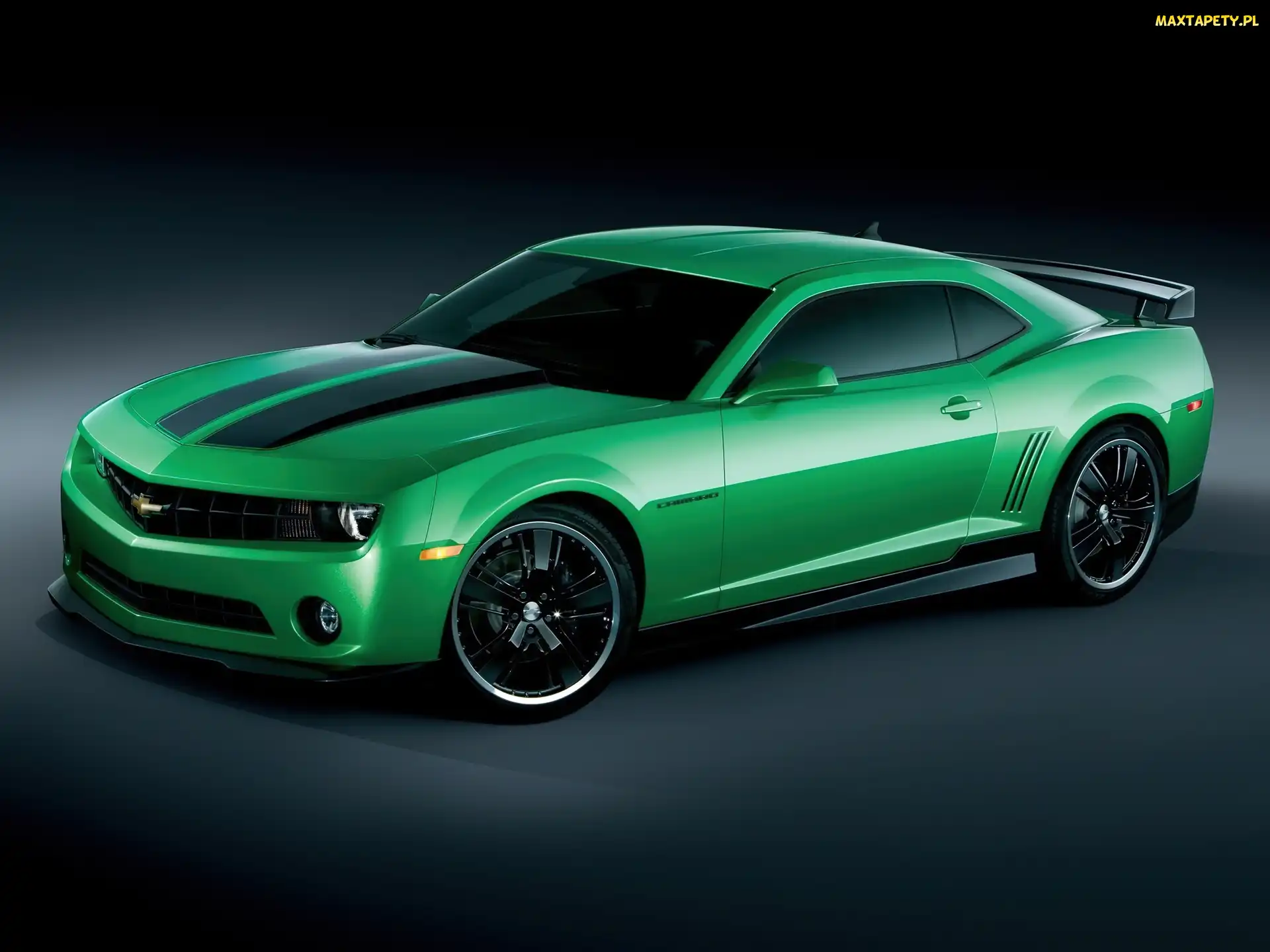 Czarne, Pasy, Chevrolet Camaro