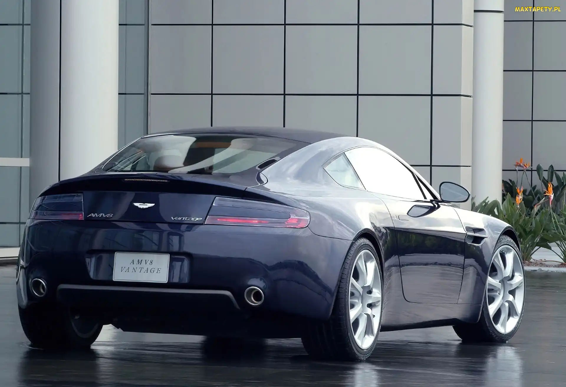 Aston Martin AMV8, Vantage, Tył