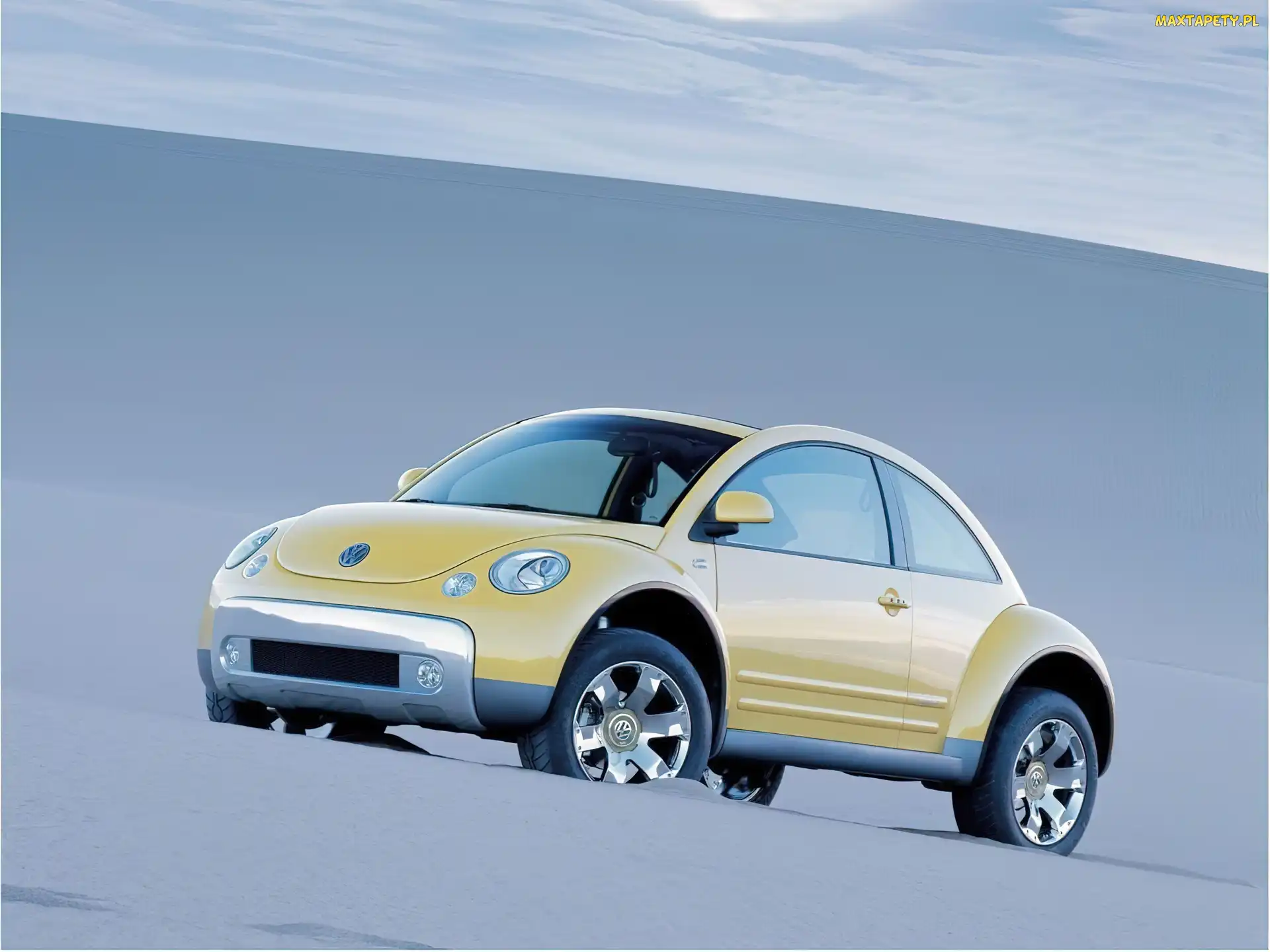 Żółte, terenowy, New Beetle