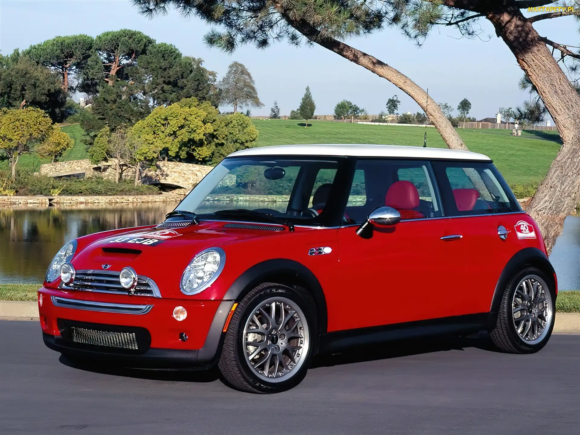 Biały, Dach, Mini Cooper
