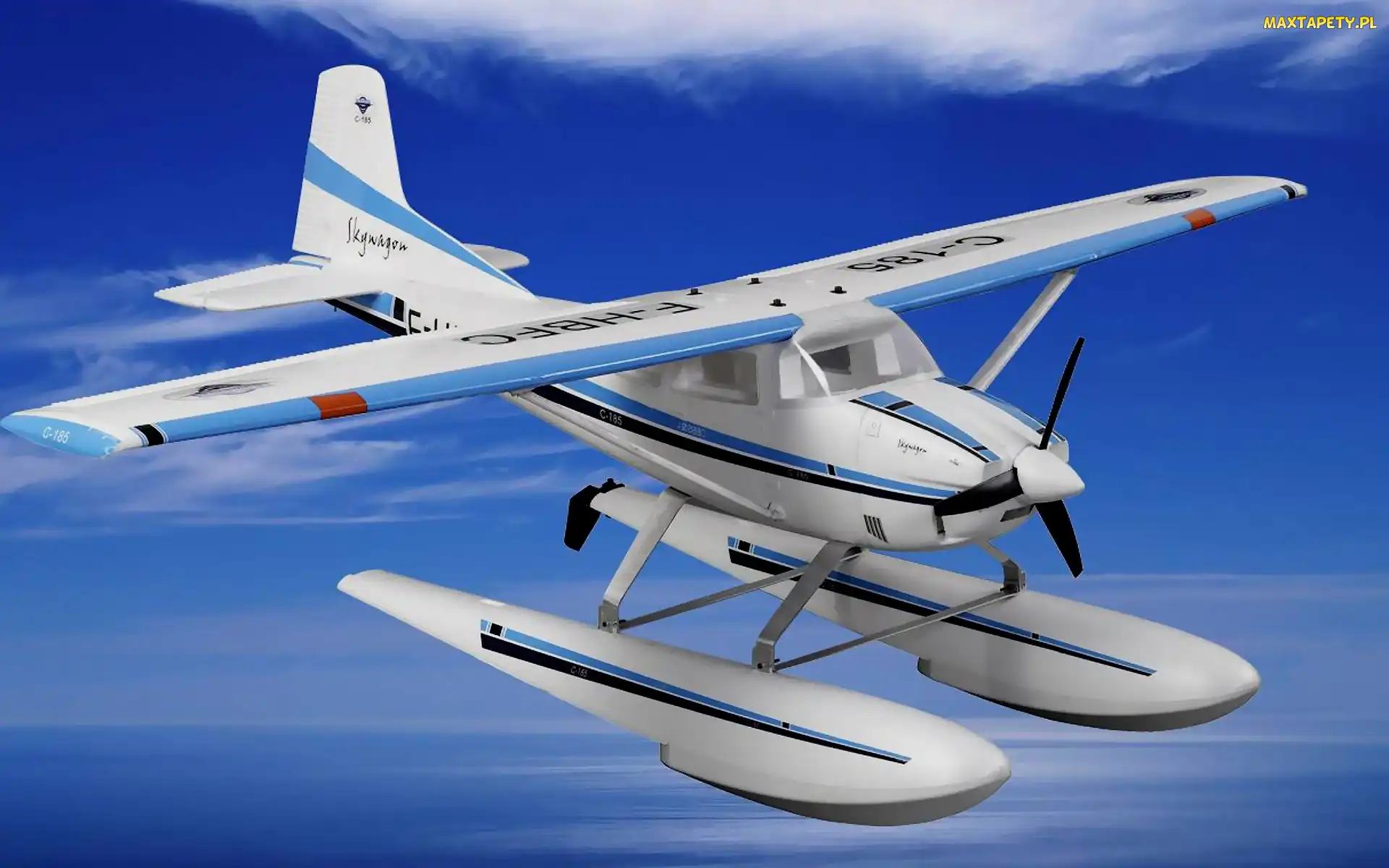 Skywagon, Grafika, Cessna 185