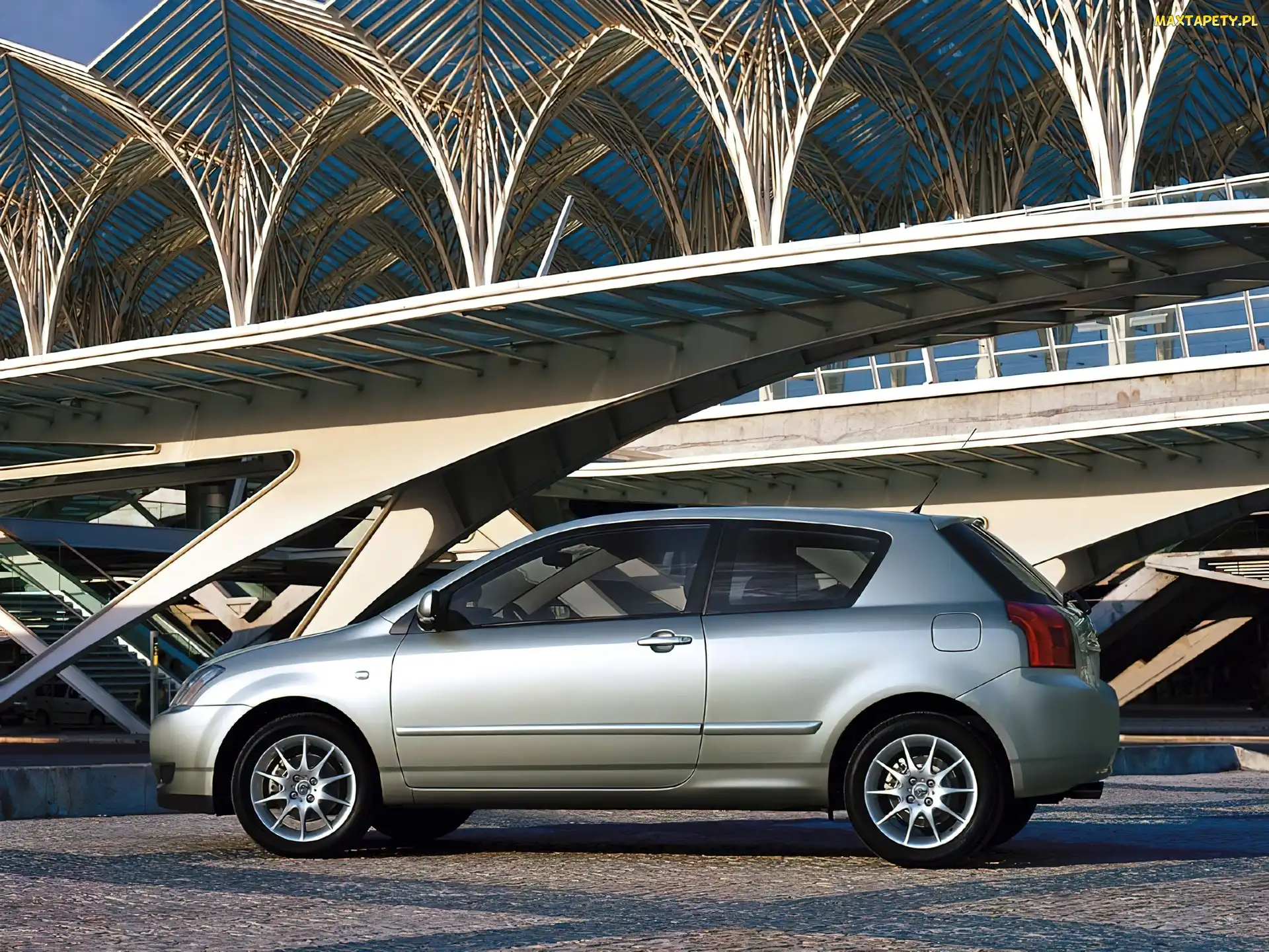 Sport, Toyota Corolla