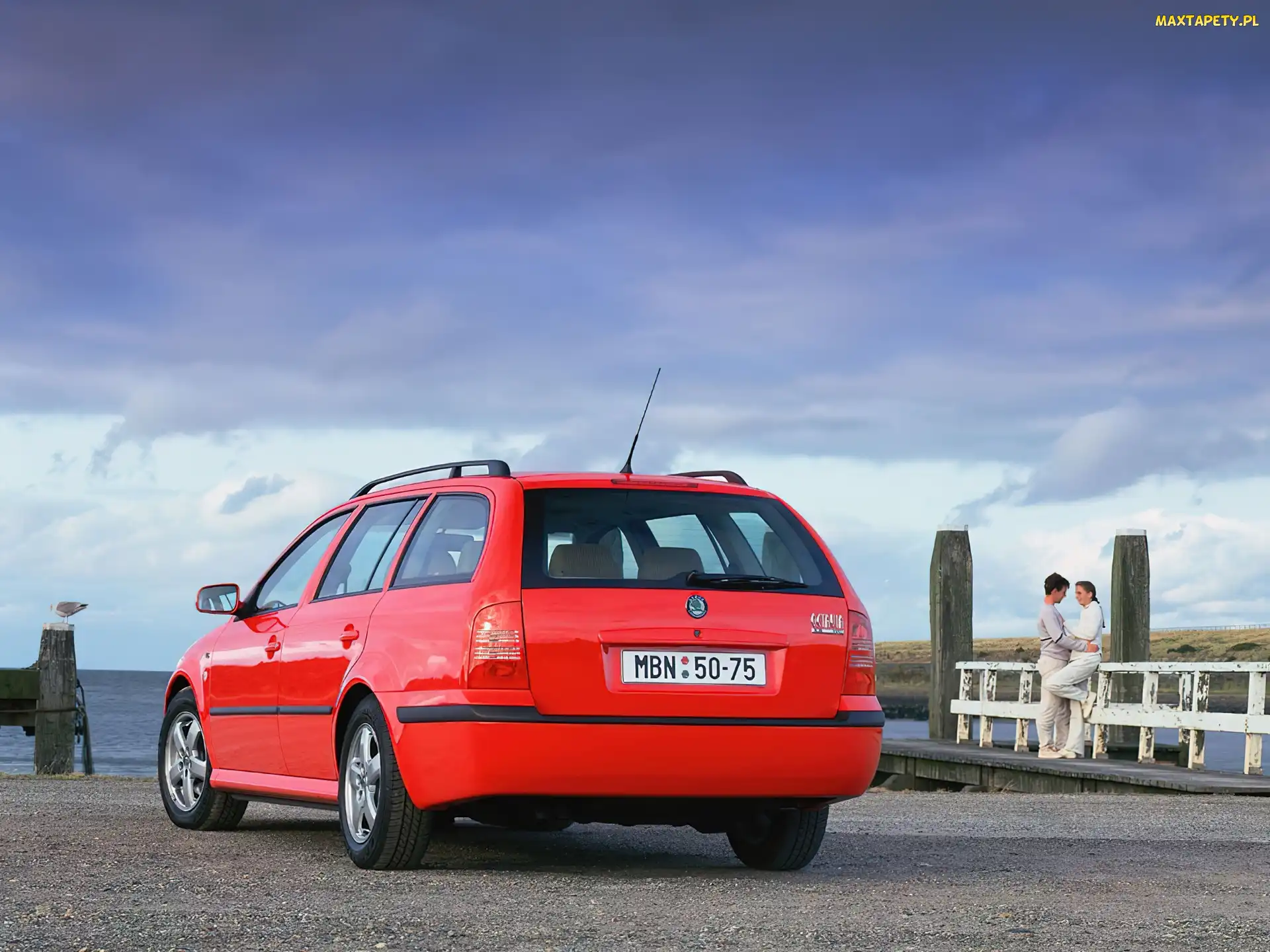 Czerwona, Kombi, Skoda Octavia