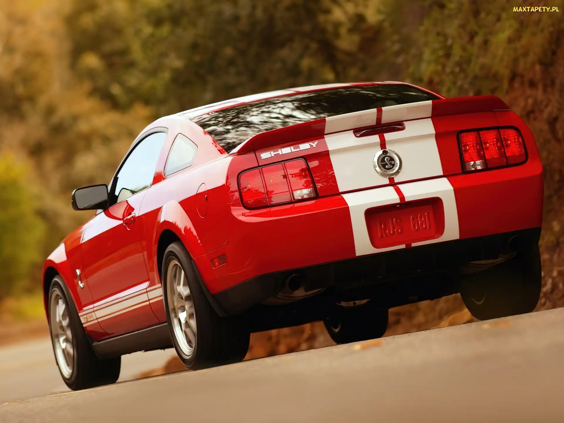 Shelby, Ford Mustang